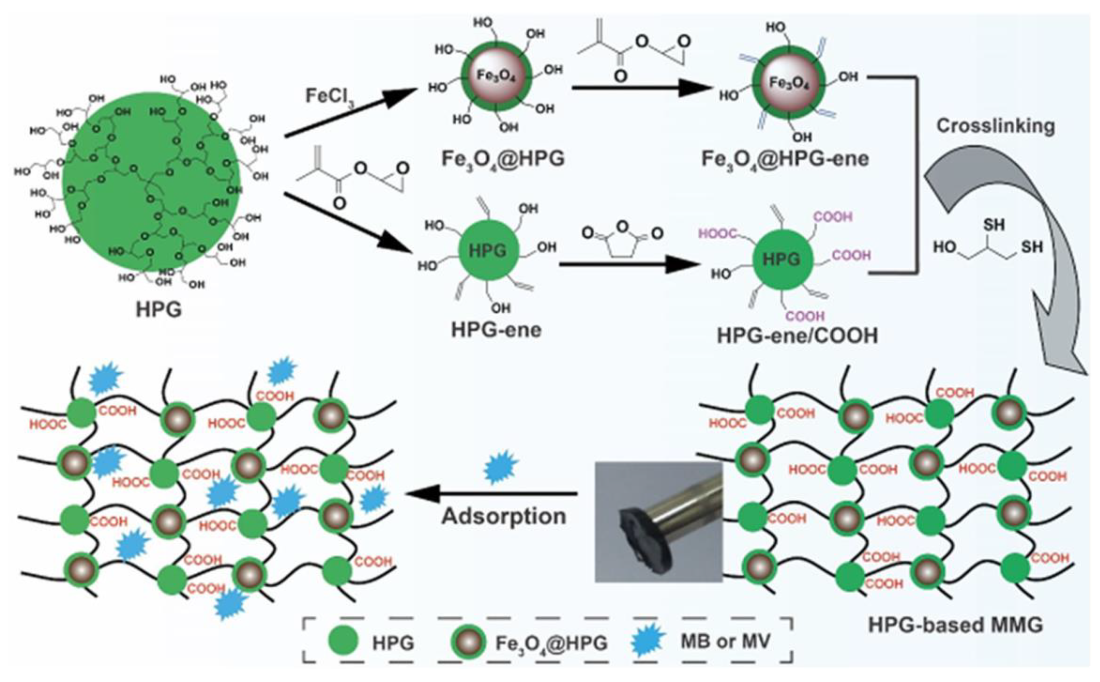 Molecules 28 01081 g003 Molecules 28 01081 g003