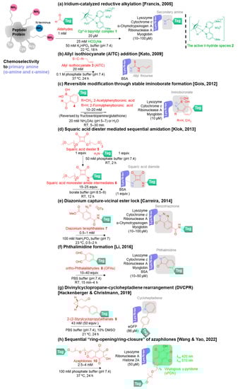 Molecules 28 01083 g003