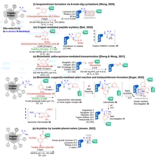 Molecules 28 01083 g006c