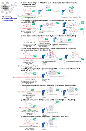 Molecules 28 01083 g007