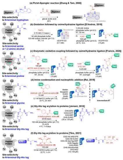Molecules 28 01083 g008