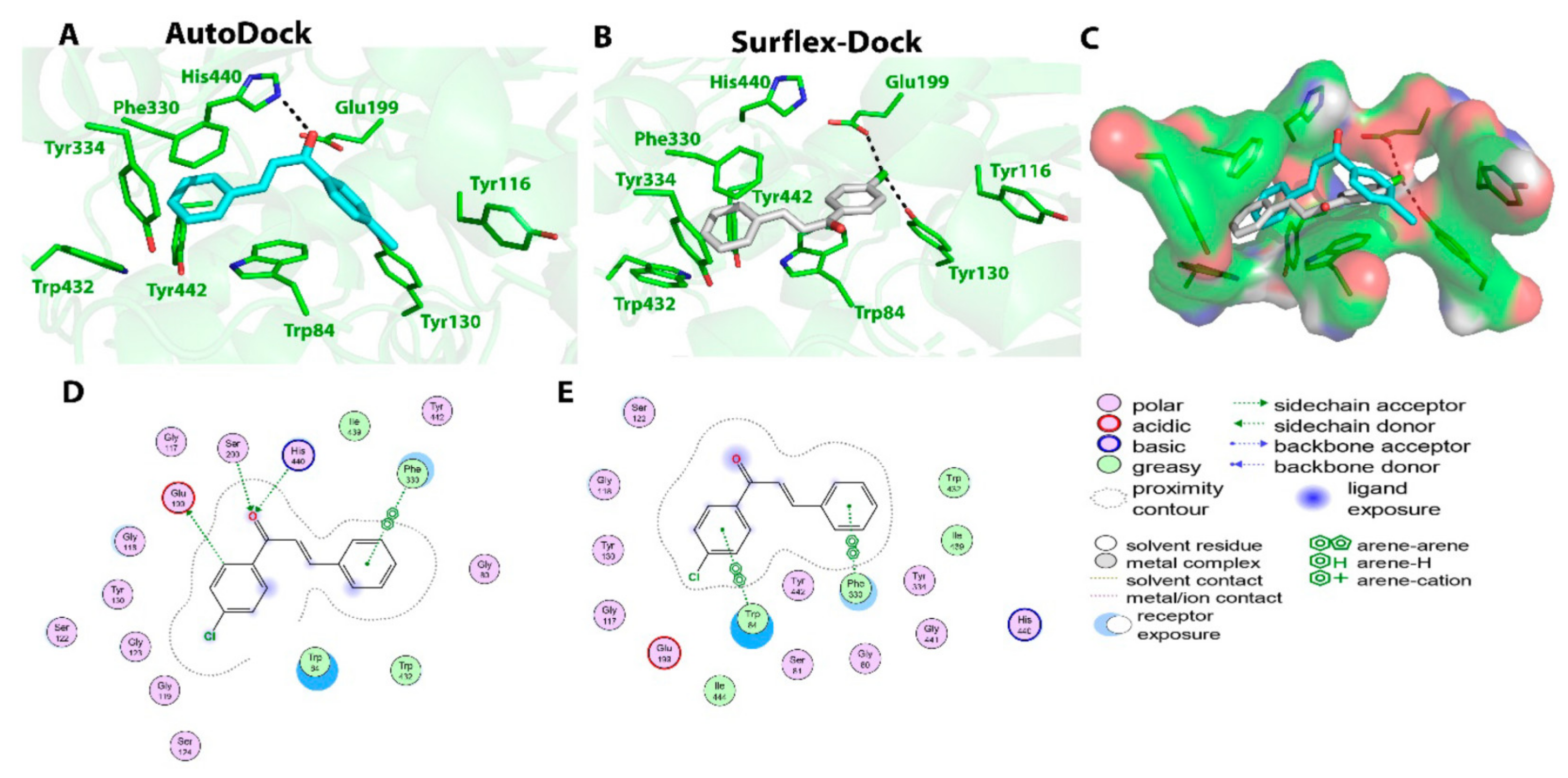 Molecules 28 01084 g005