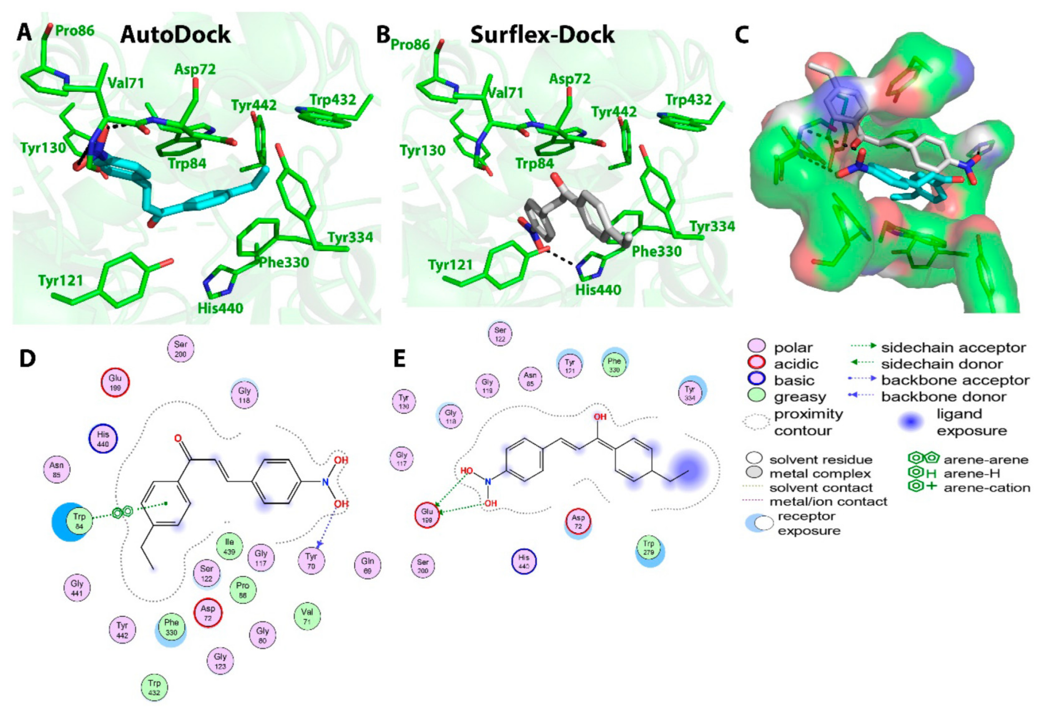 Molecules 28 01084 g006