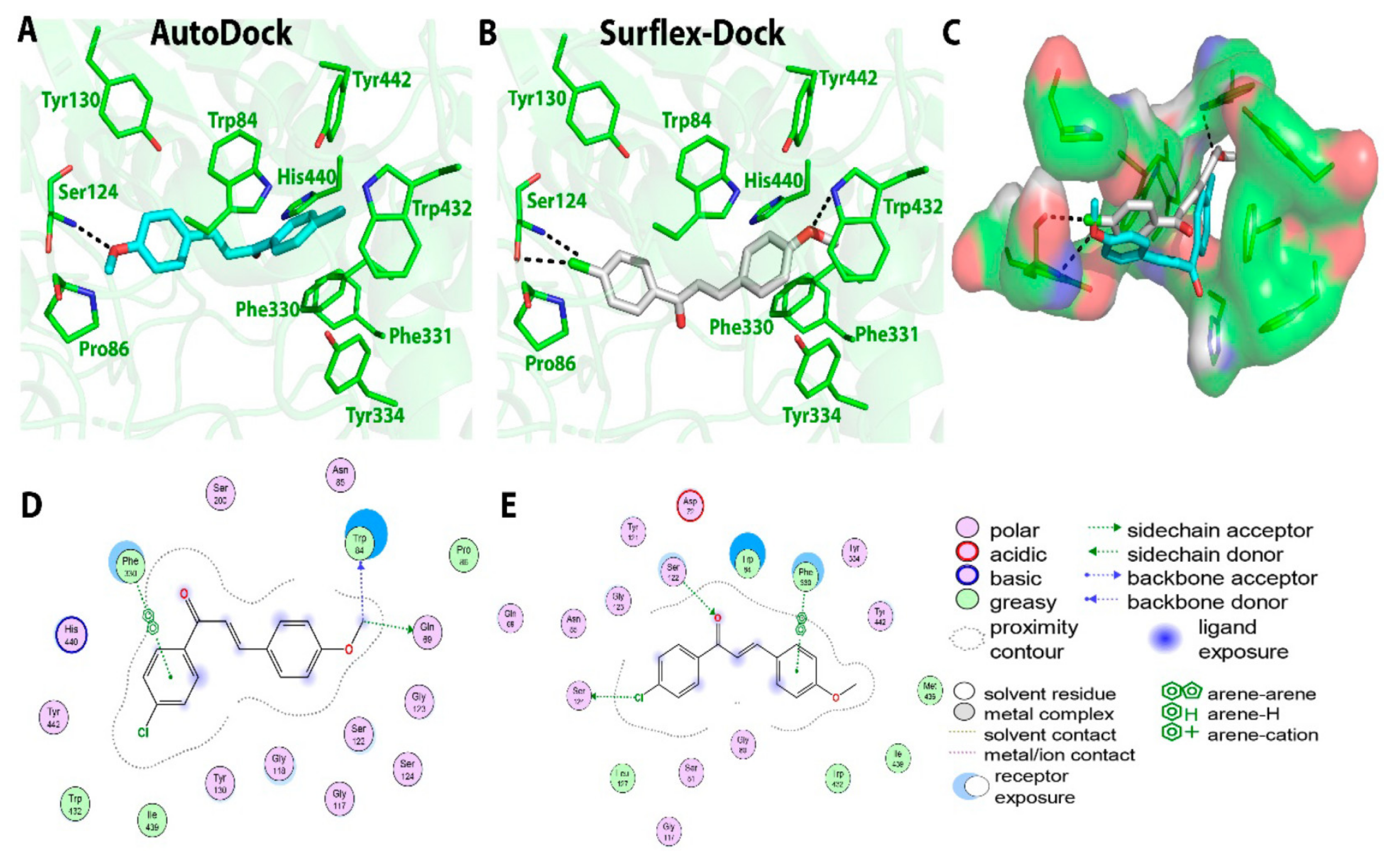 Molecules 28 01084 g007
