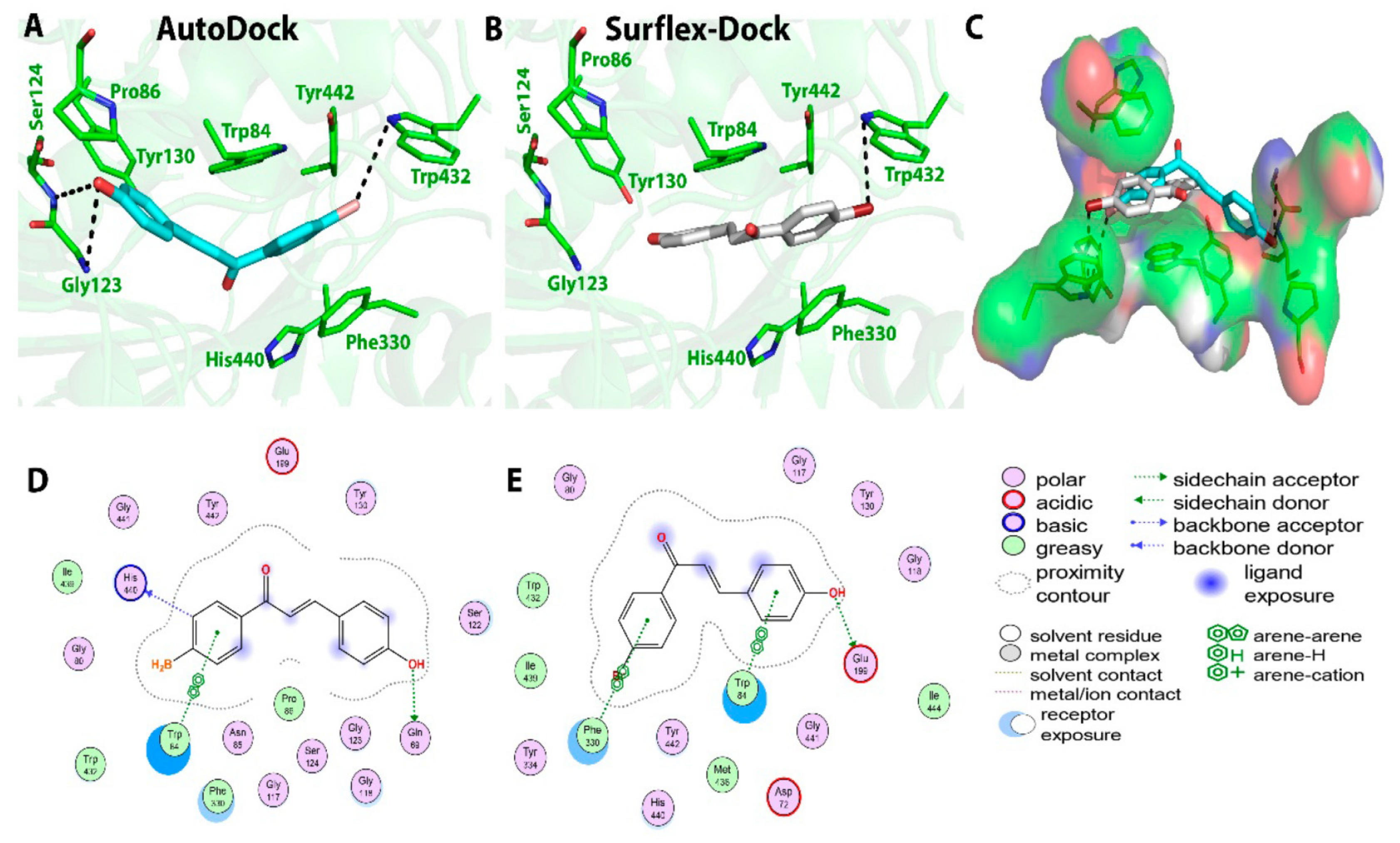 Molecules 28 01084 g008