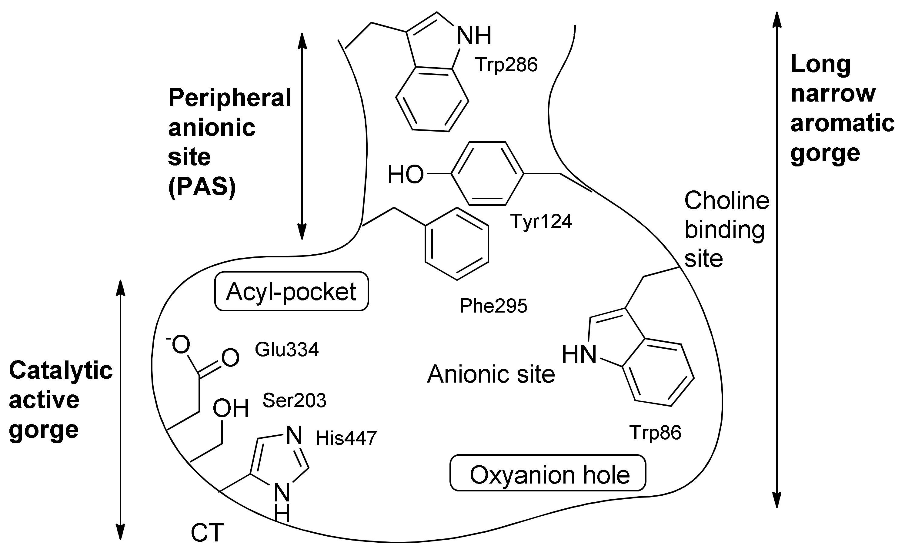 Molecules 28 01084 sch001