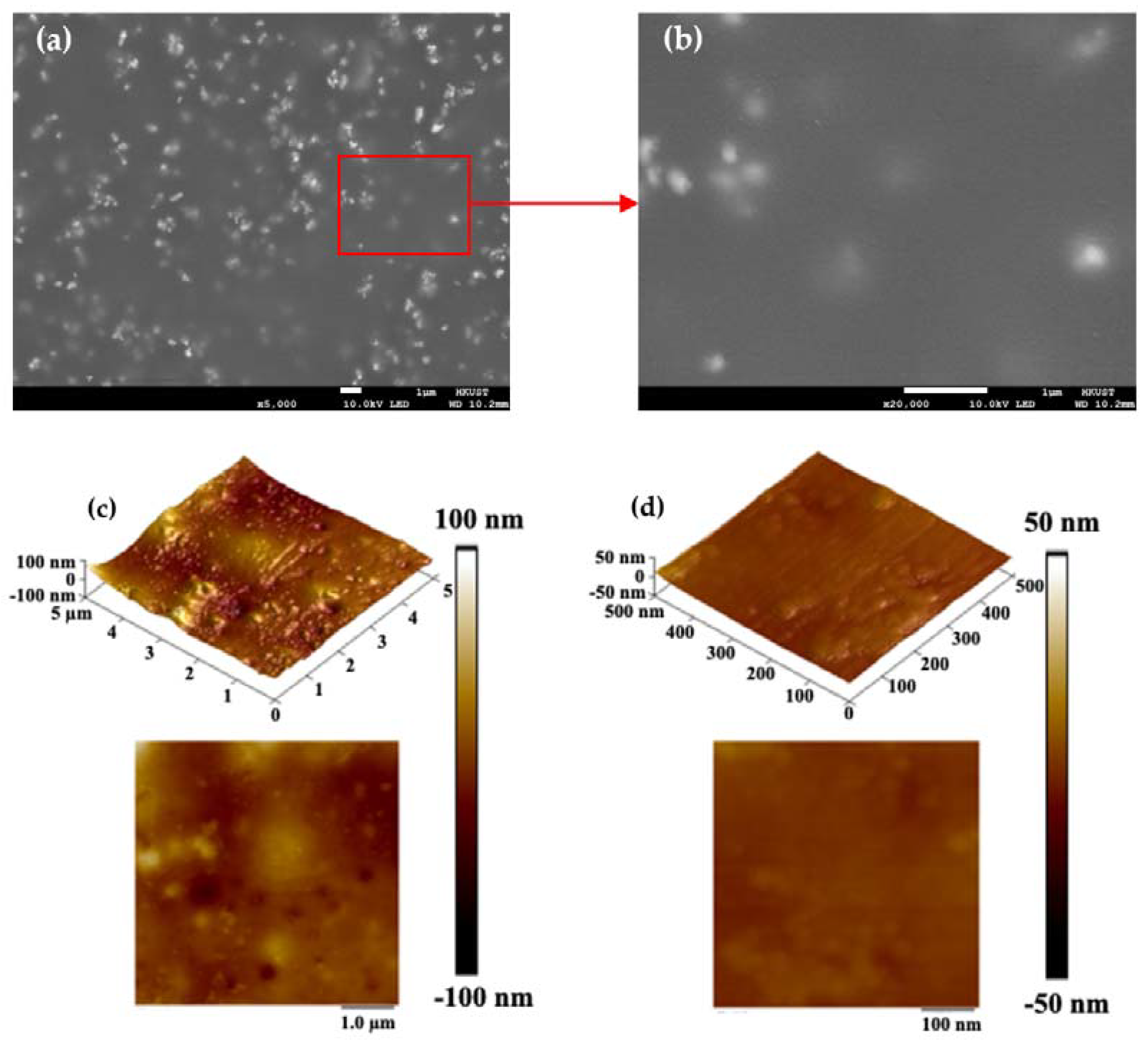 Molecules 28 01085 g001