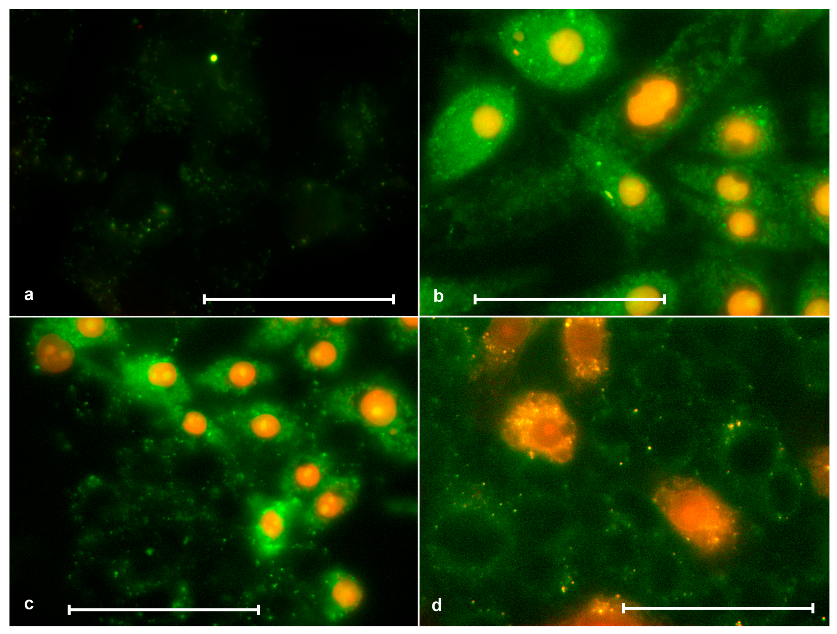 Molecules 28 01090 g009 Molecules 28 01090 g009