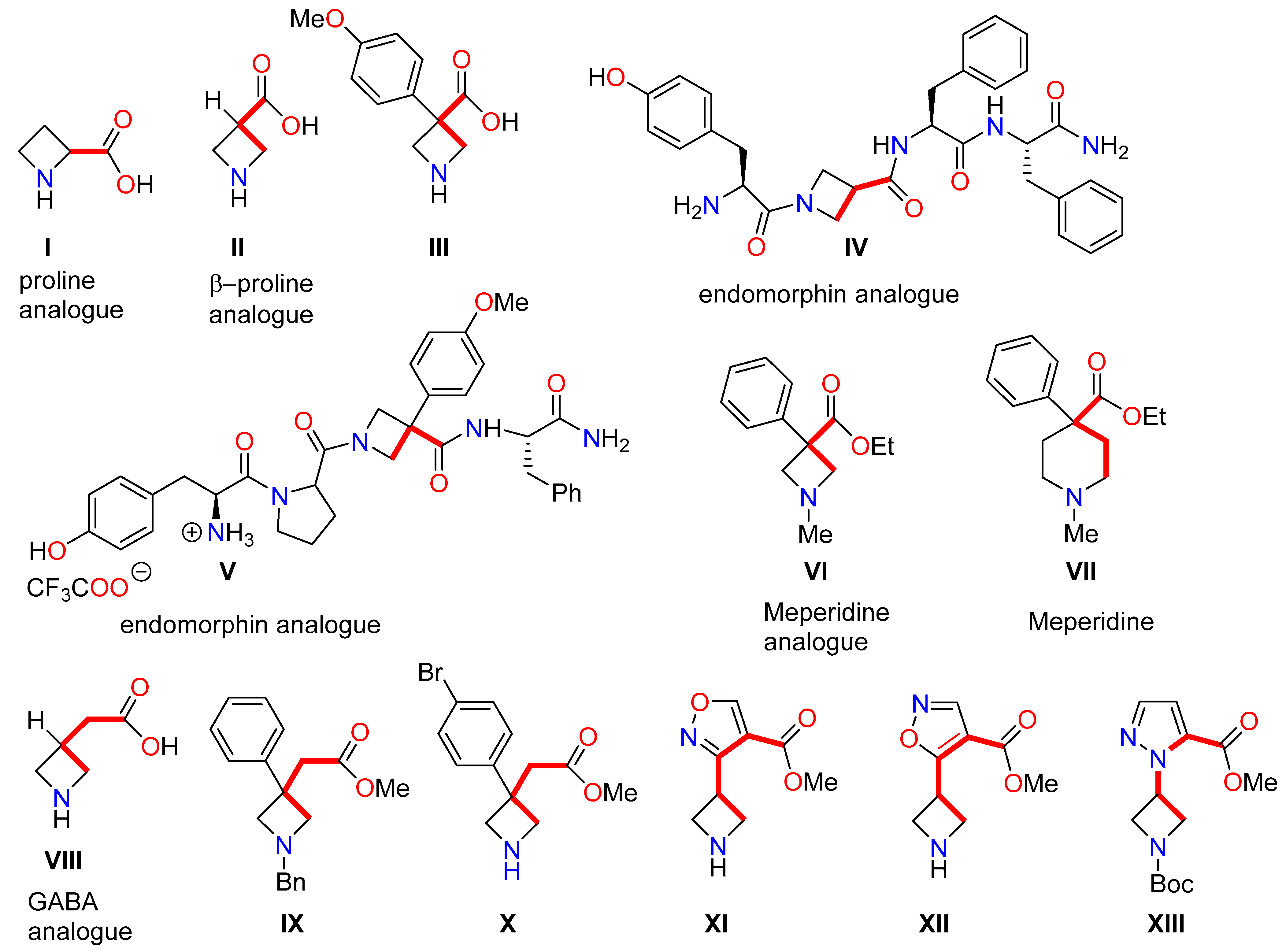 Molecules 28 01091 g001