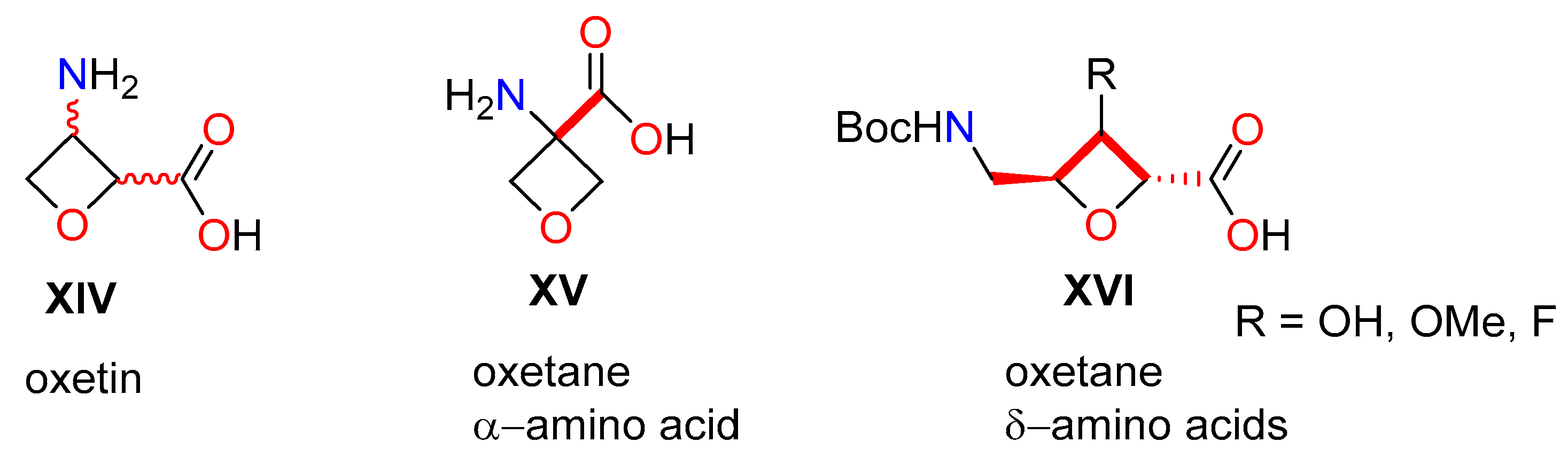 Molecules 28 01091 g002