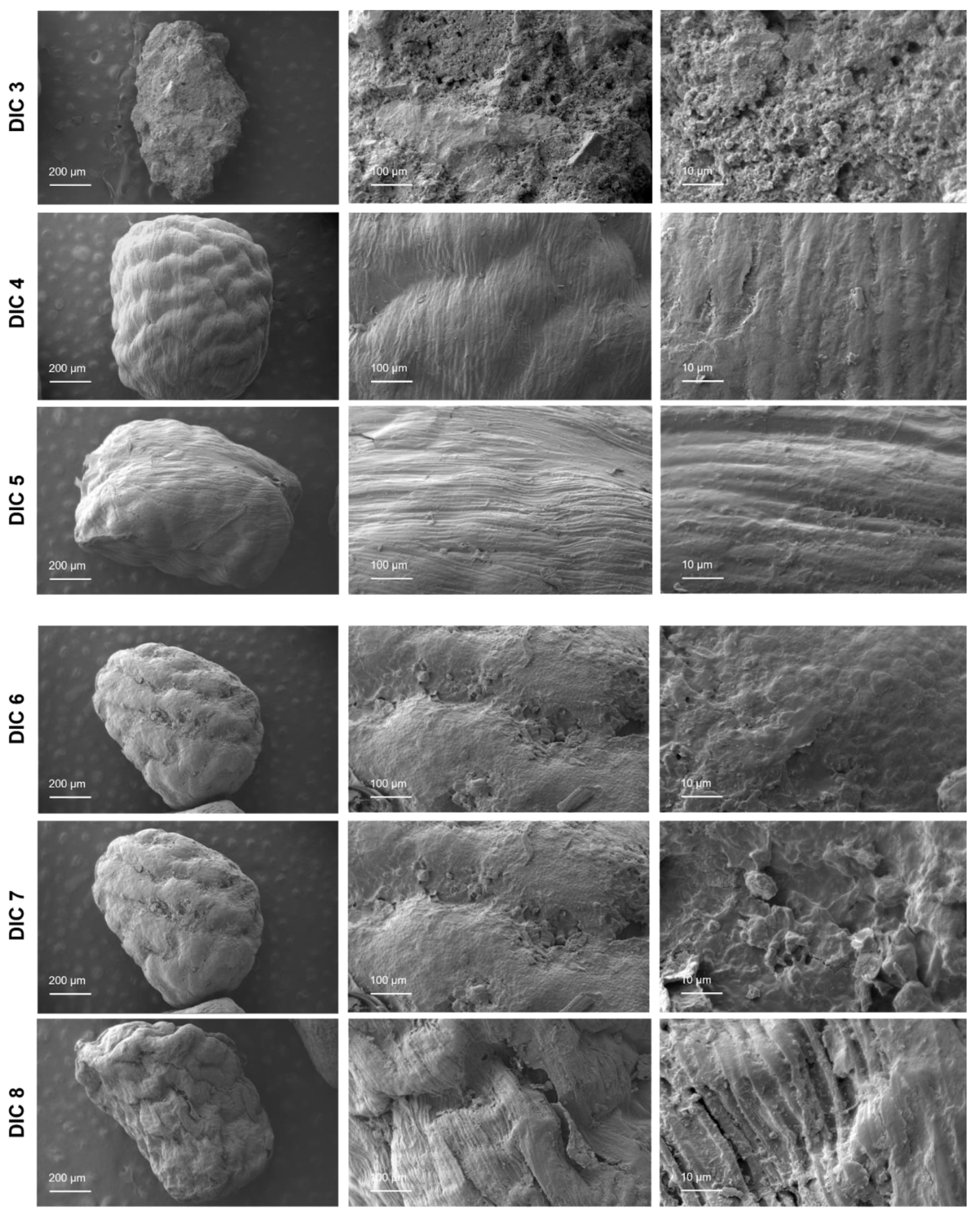 Molecules 28 01093 g008b