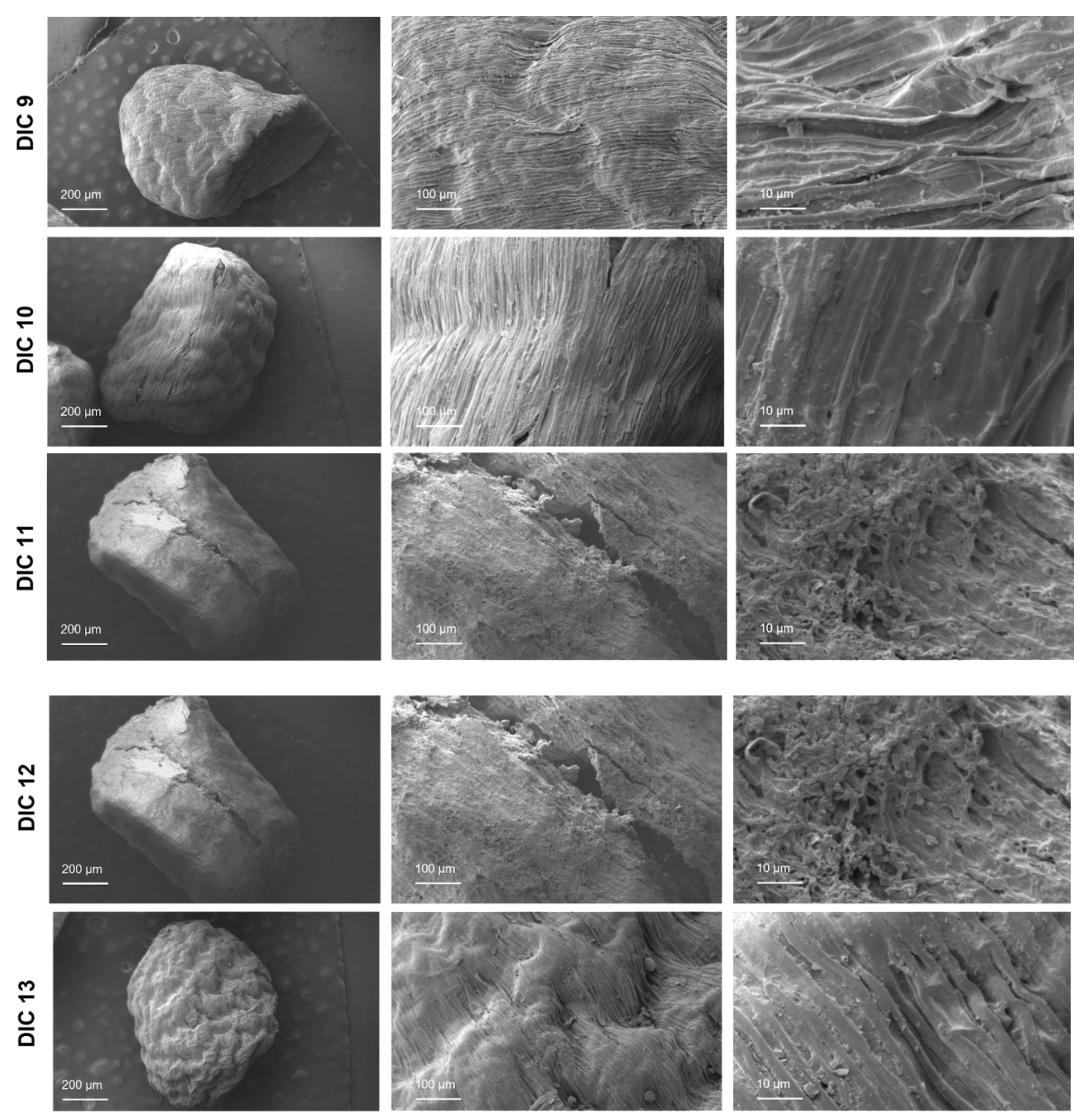 Molecules 28 01093 g008c