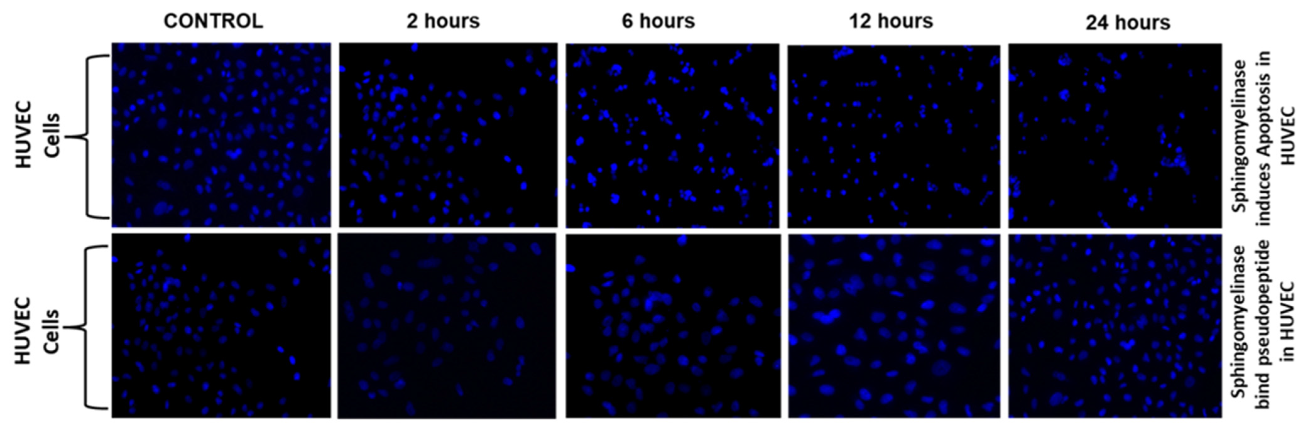 Molecules 28 01106 g004