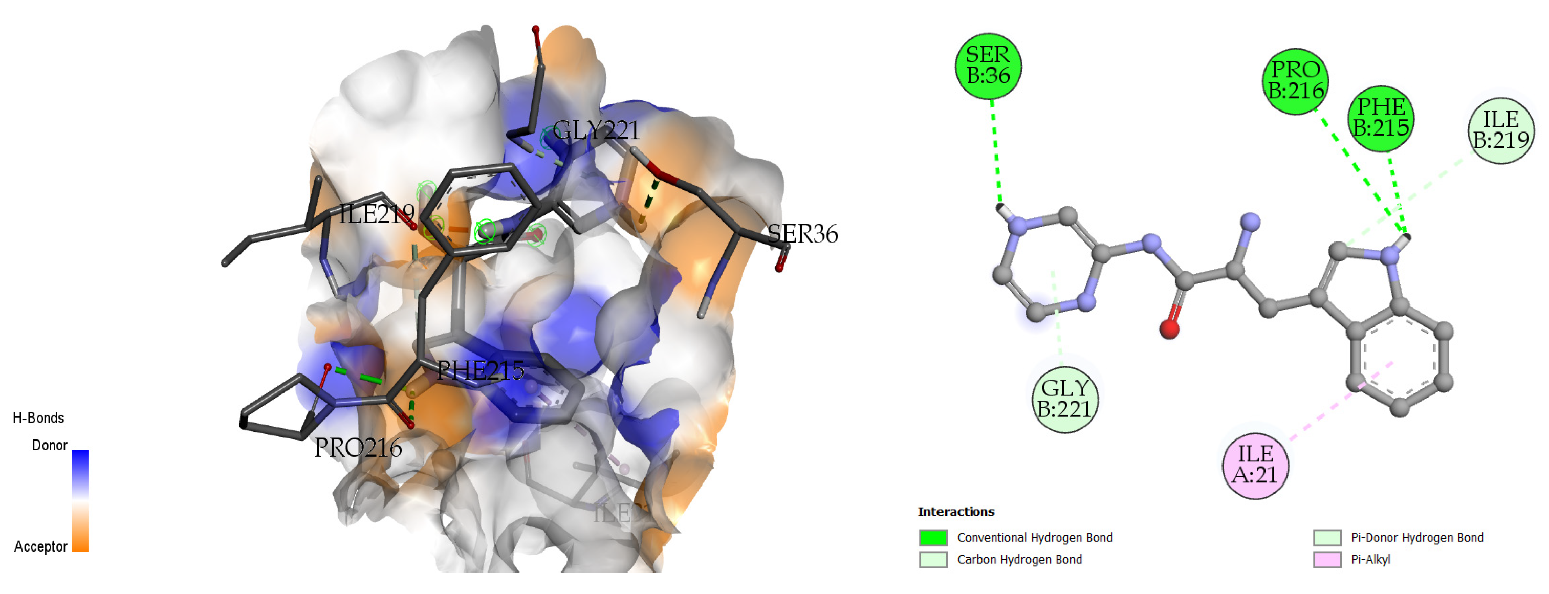 Molecules 28 01106 g008