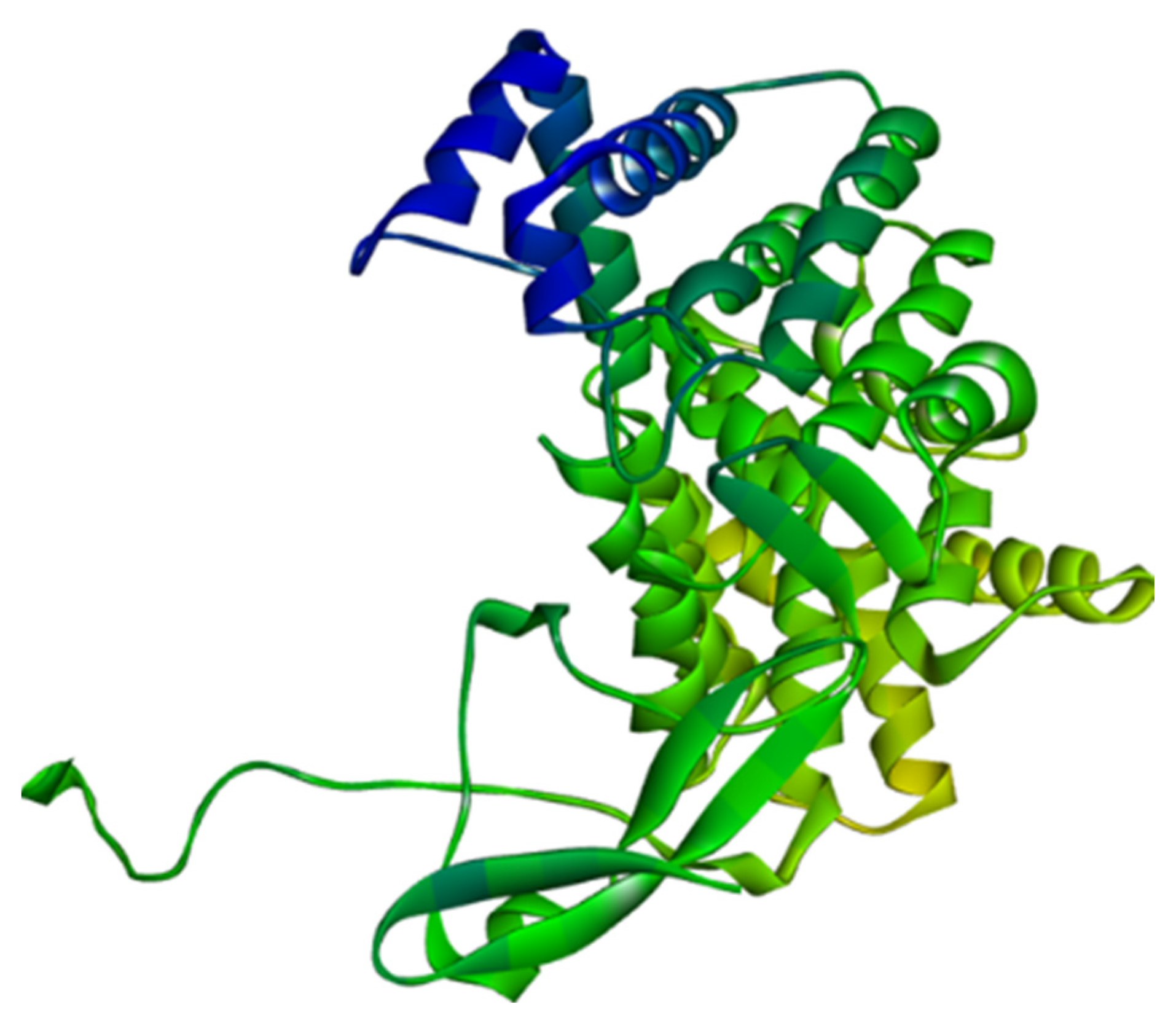 Molecules 28 01106 g013