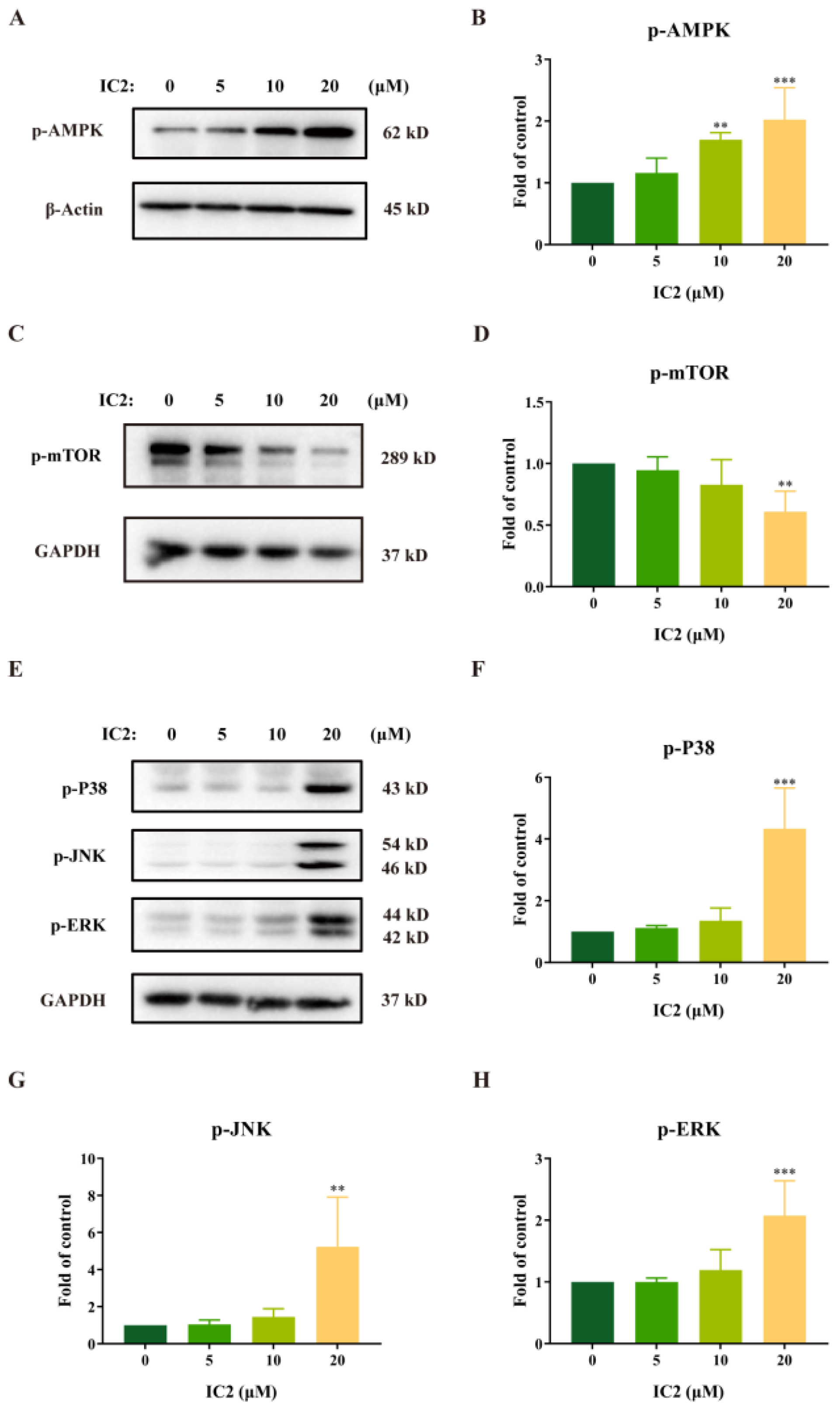 Molecules 28 01109 g003 Molecules 28 01109 g003