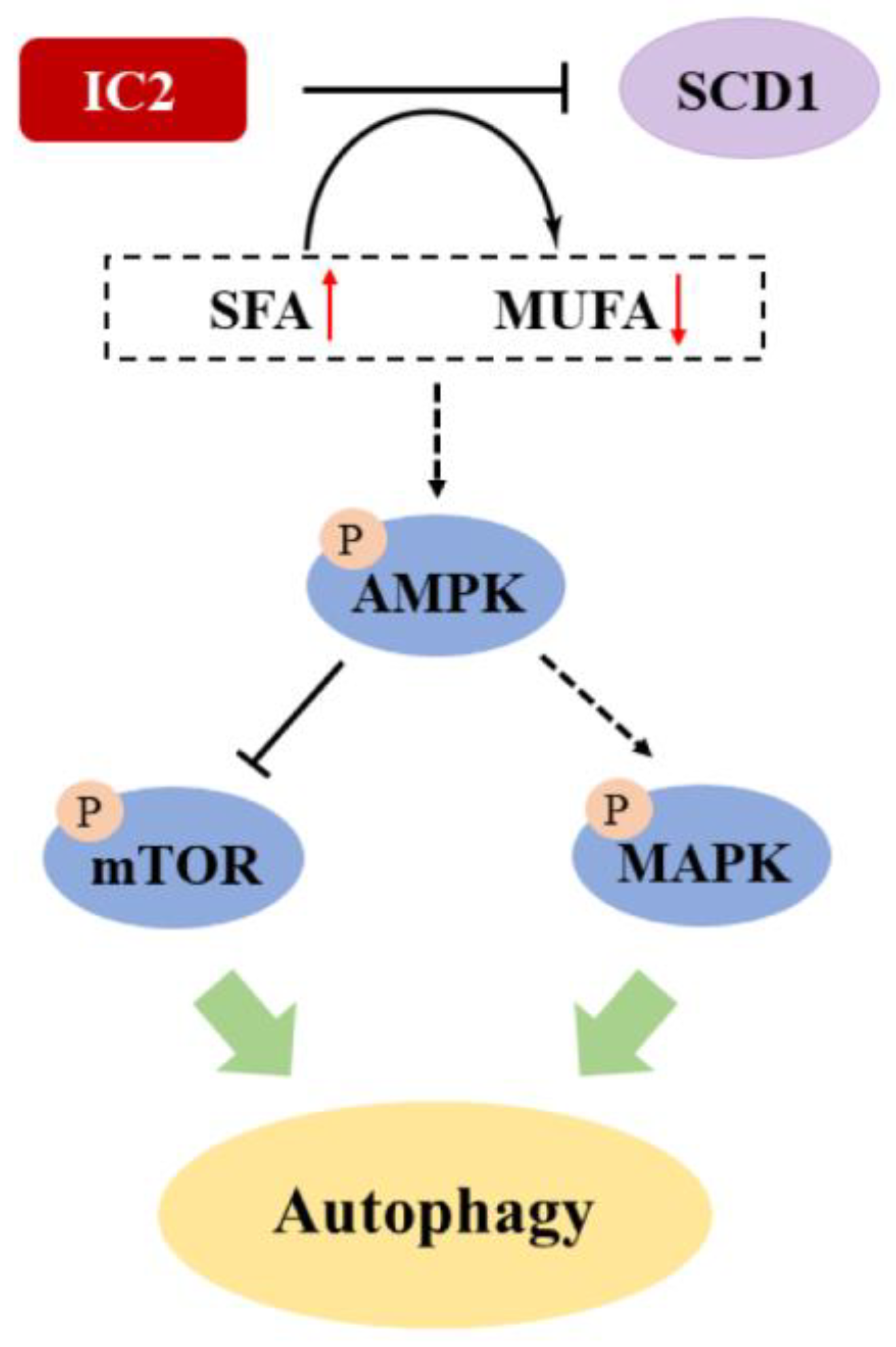 Molecules 28 01109 g007 Molecules 28 01109 g007