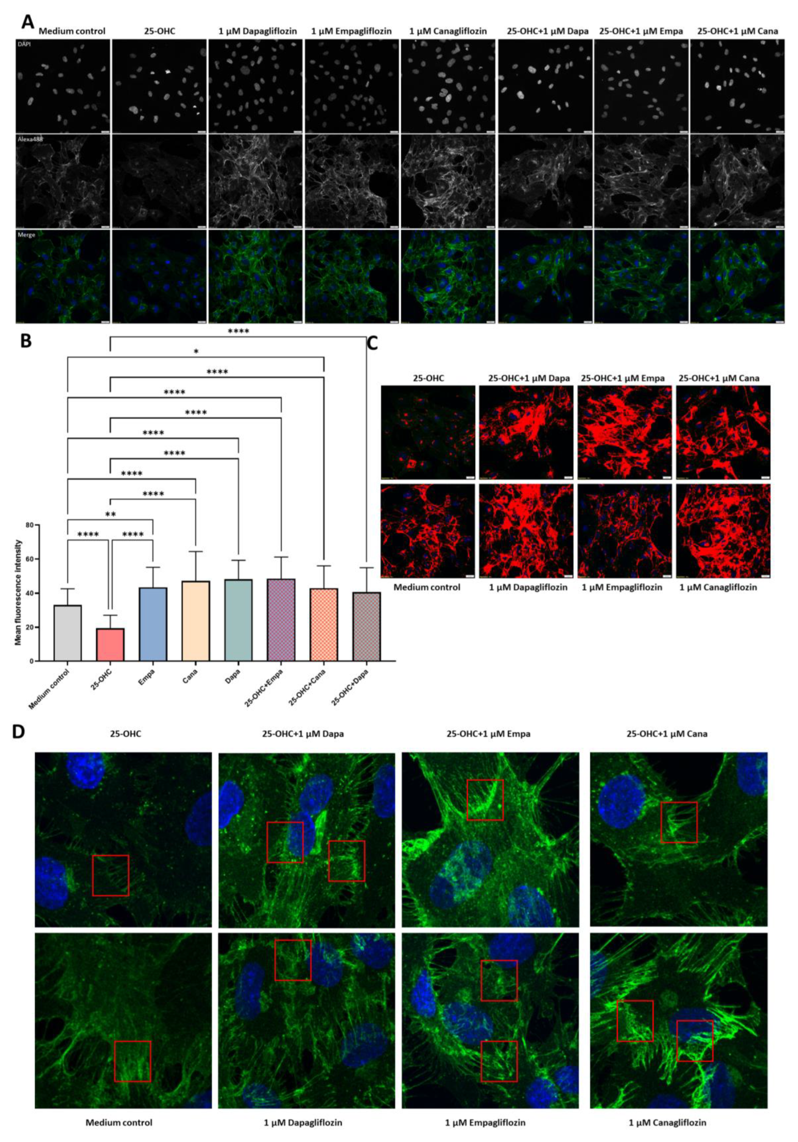 Molecules 28 01112 g003