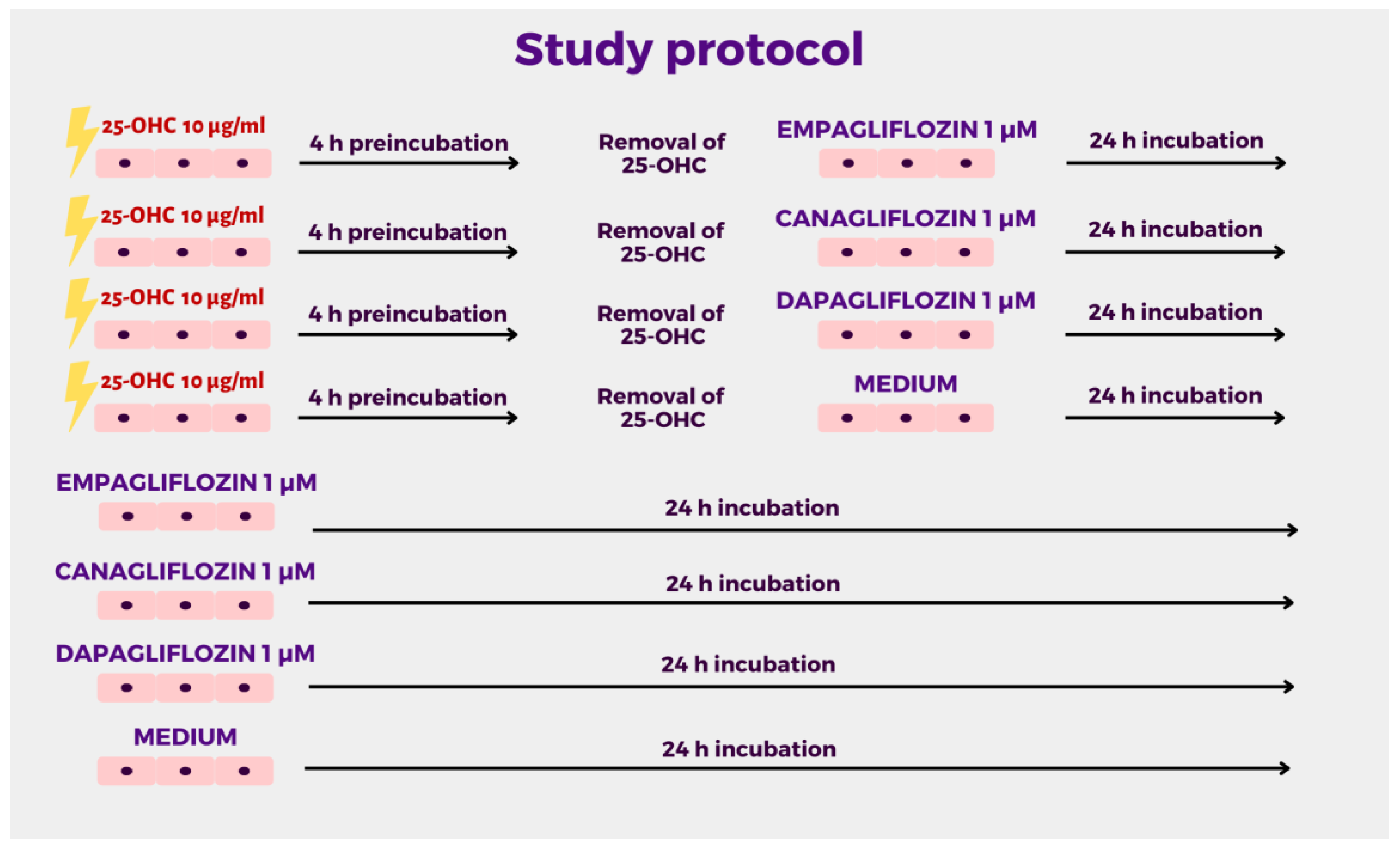 Molecules 28 01112 g004