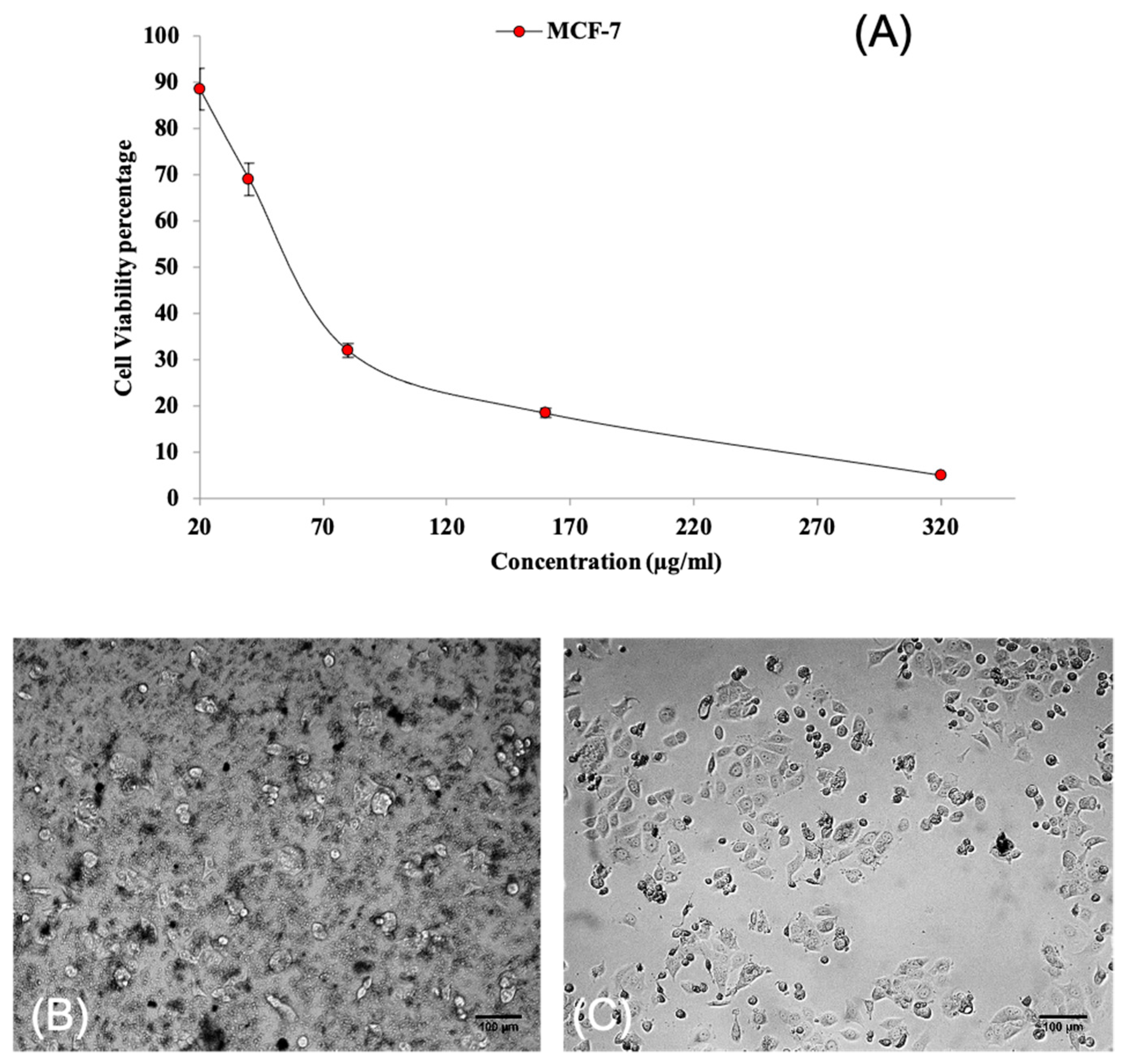 Molecules 28 01117 g009