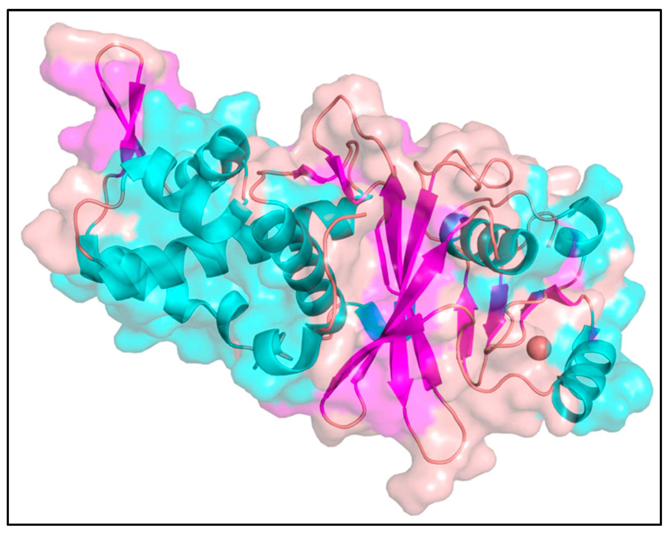 Molecules 28 01117 g010