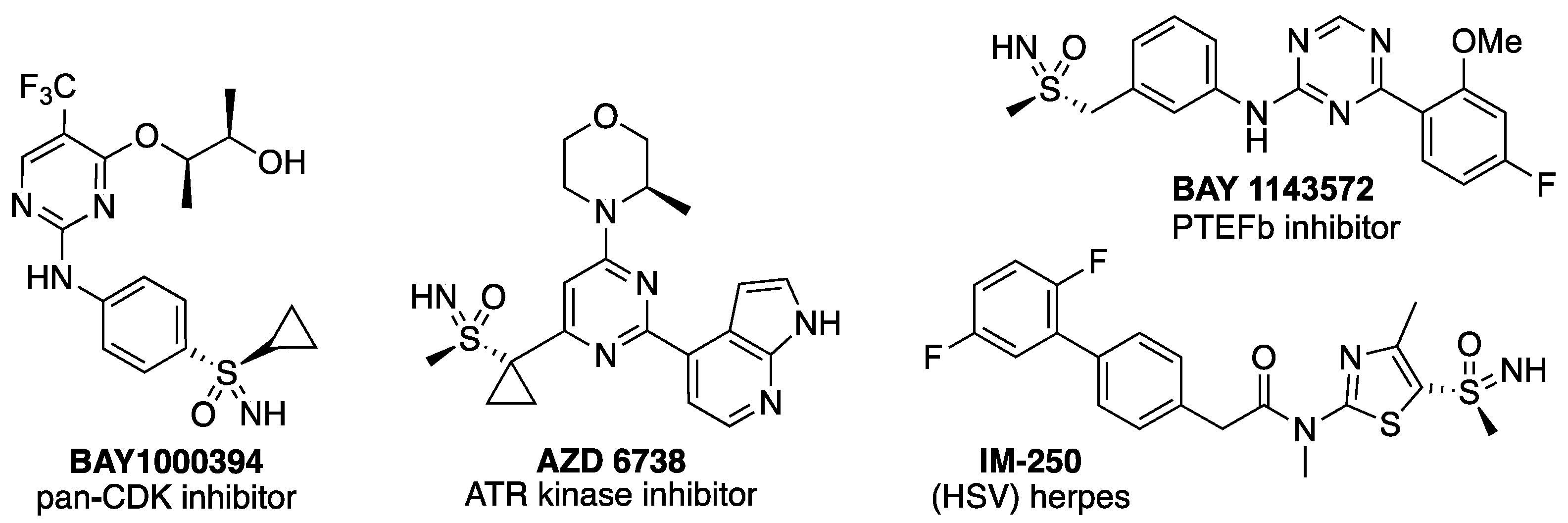 Molecules 28 01120 g001