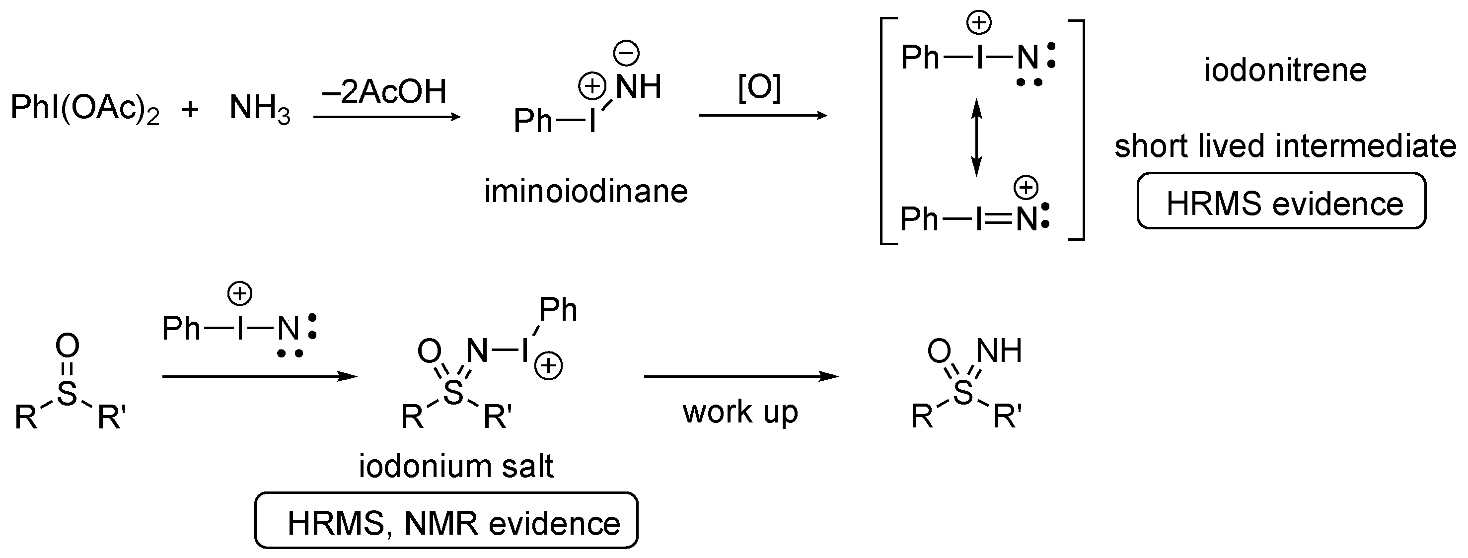 Molecules 28 01120 sch002