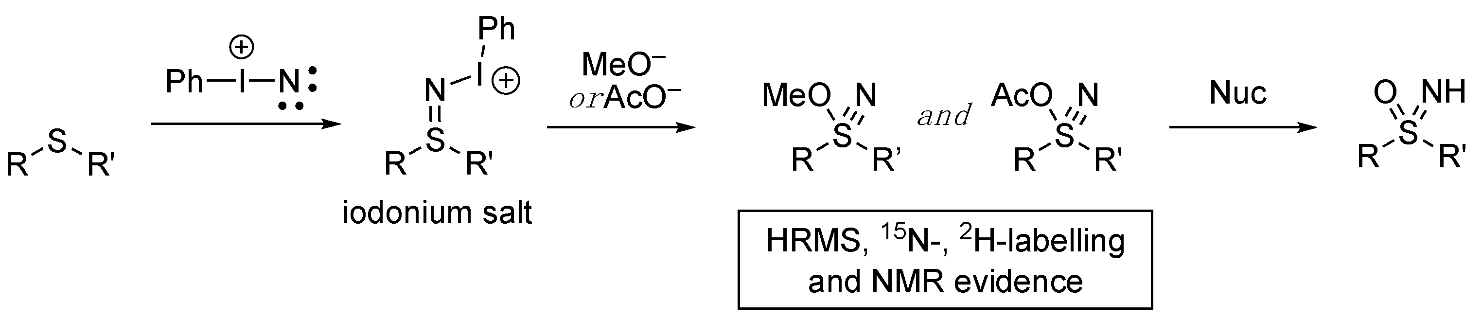 Molecules 28 01120 sch005