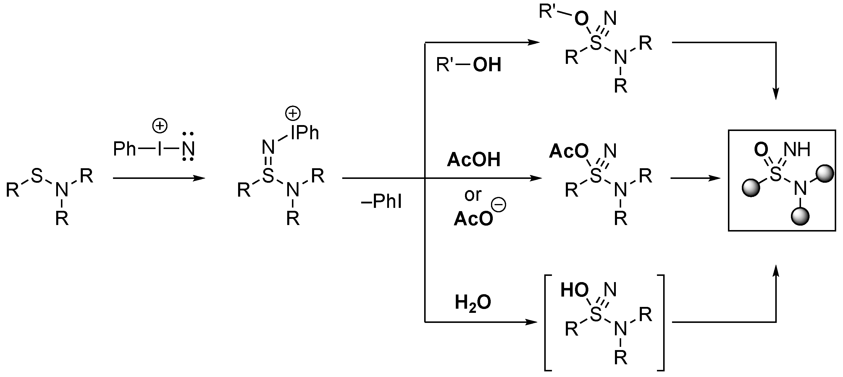 Molecules 28 01120 sch016