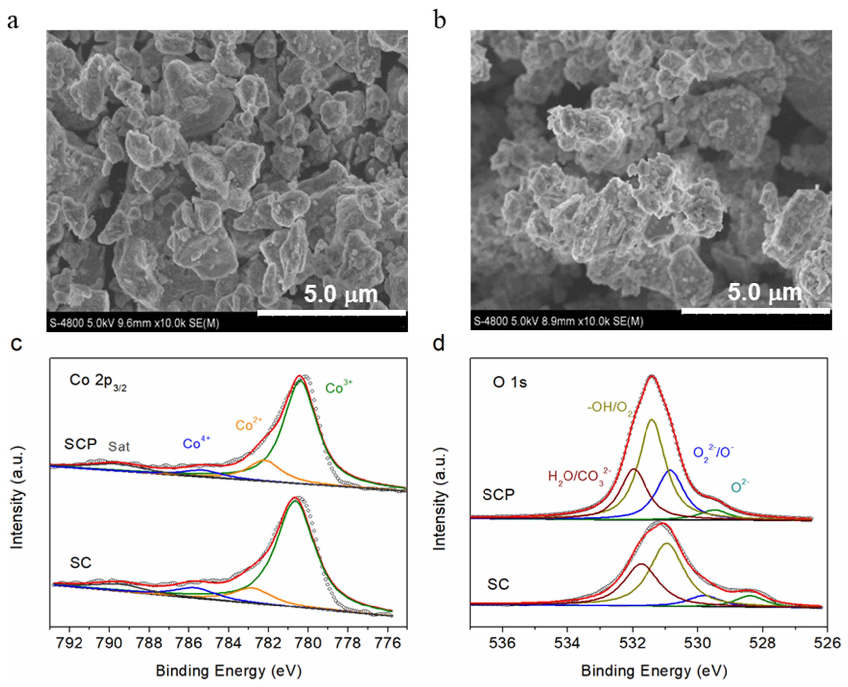 Molecules 28 01122 g002