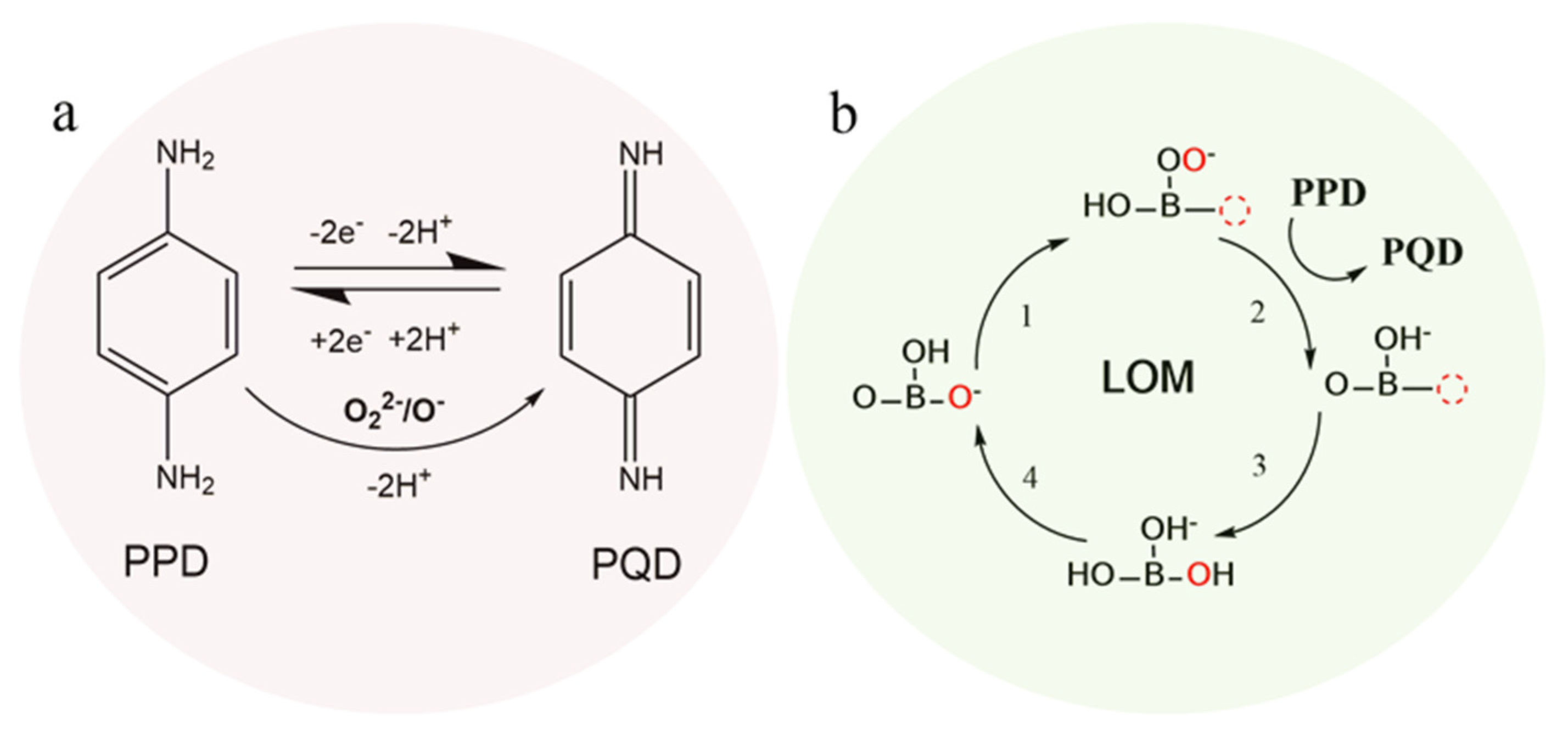 Molecules 28 01122 g005