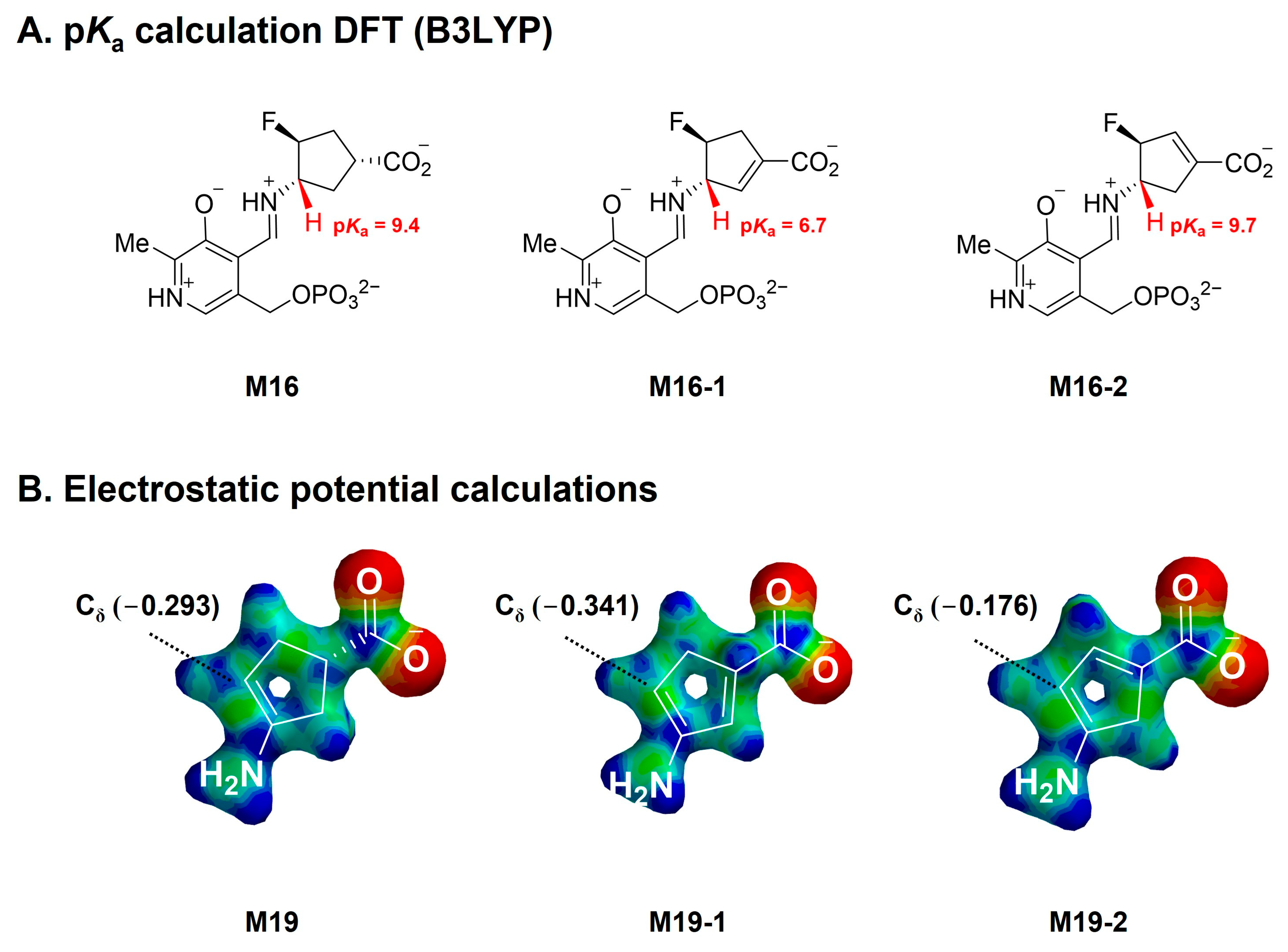 Molecules 28 01133 g002