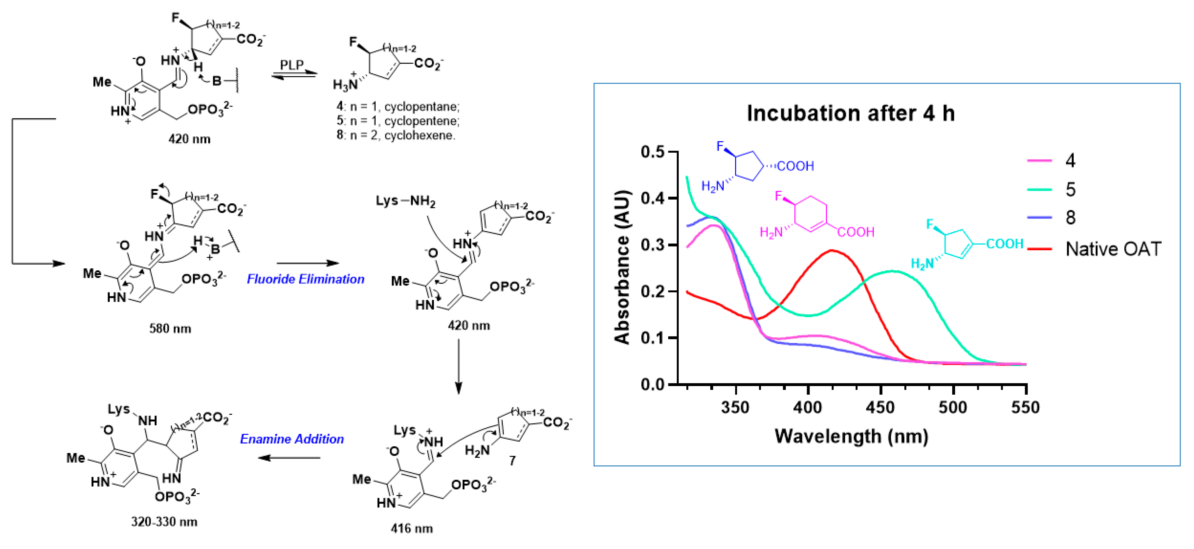 Molecules 28 01133 g004