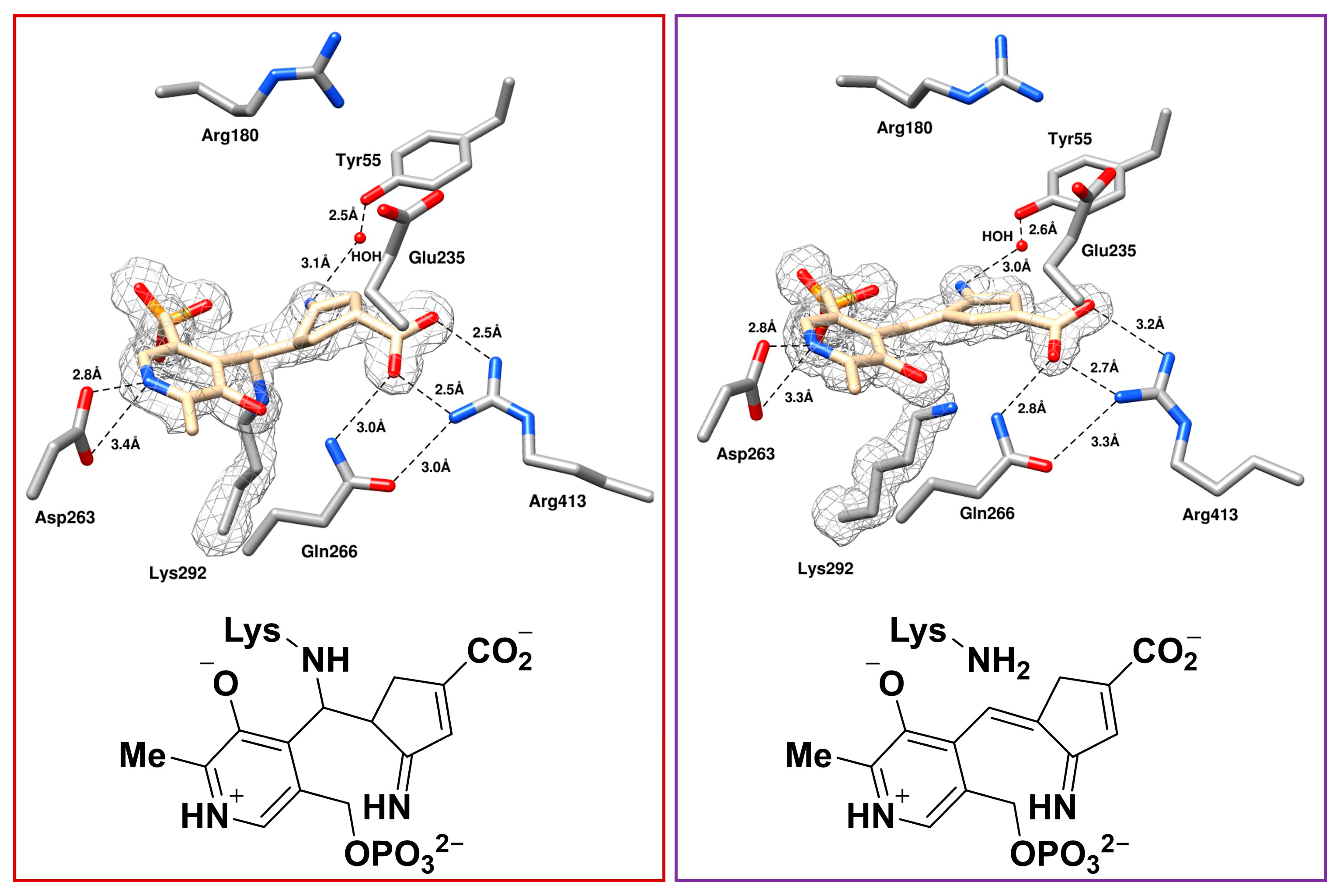 Molecules 28 01133 g005