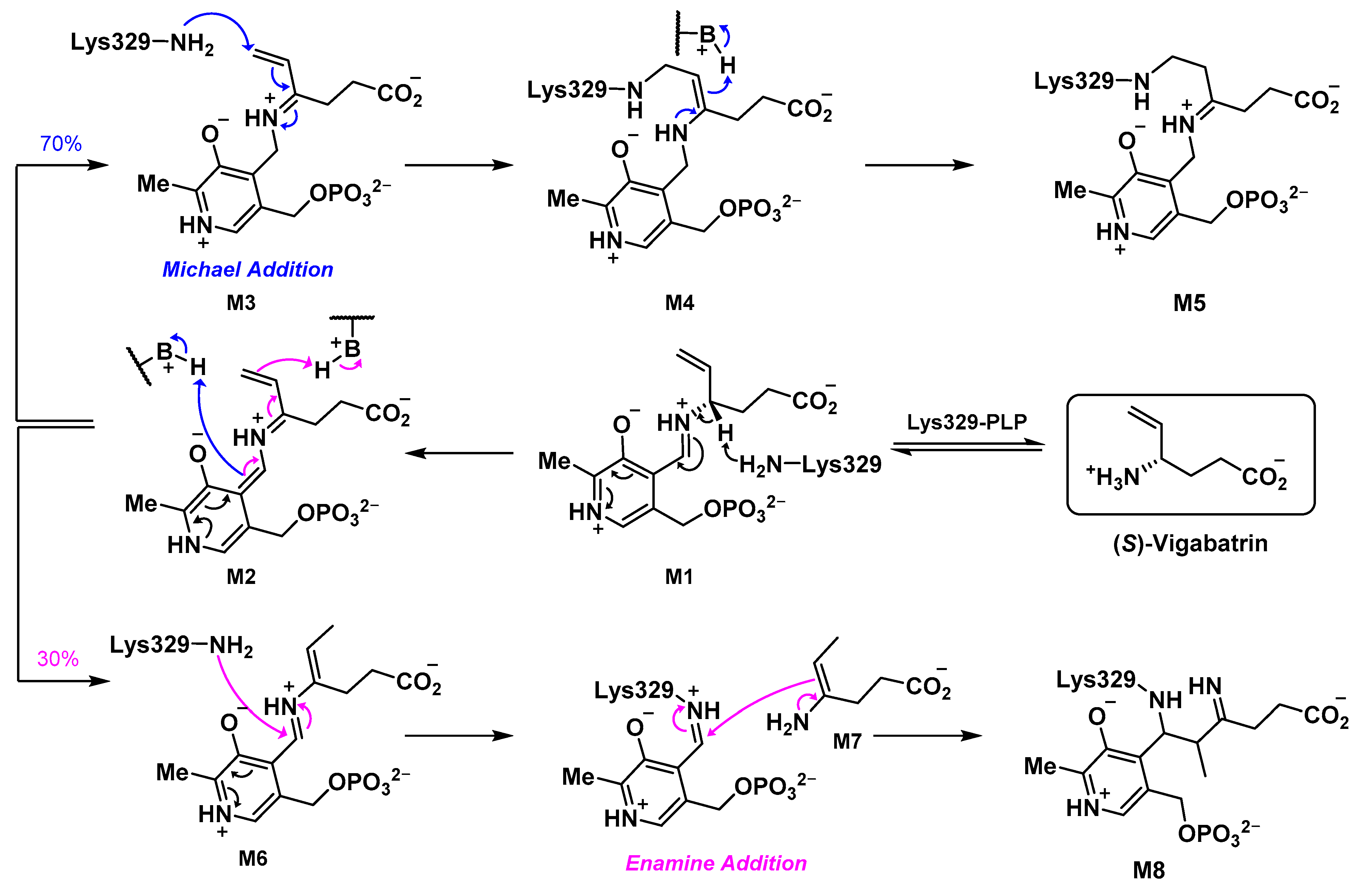 Molecules 28 01133 sch001