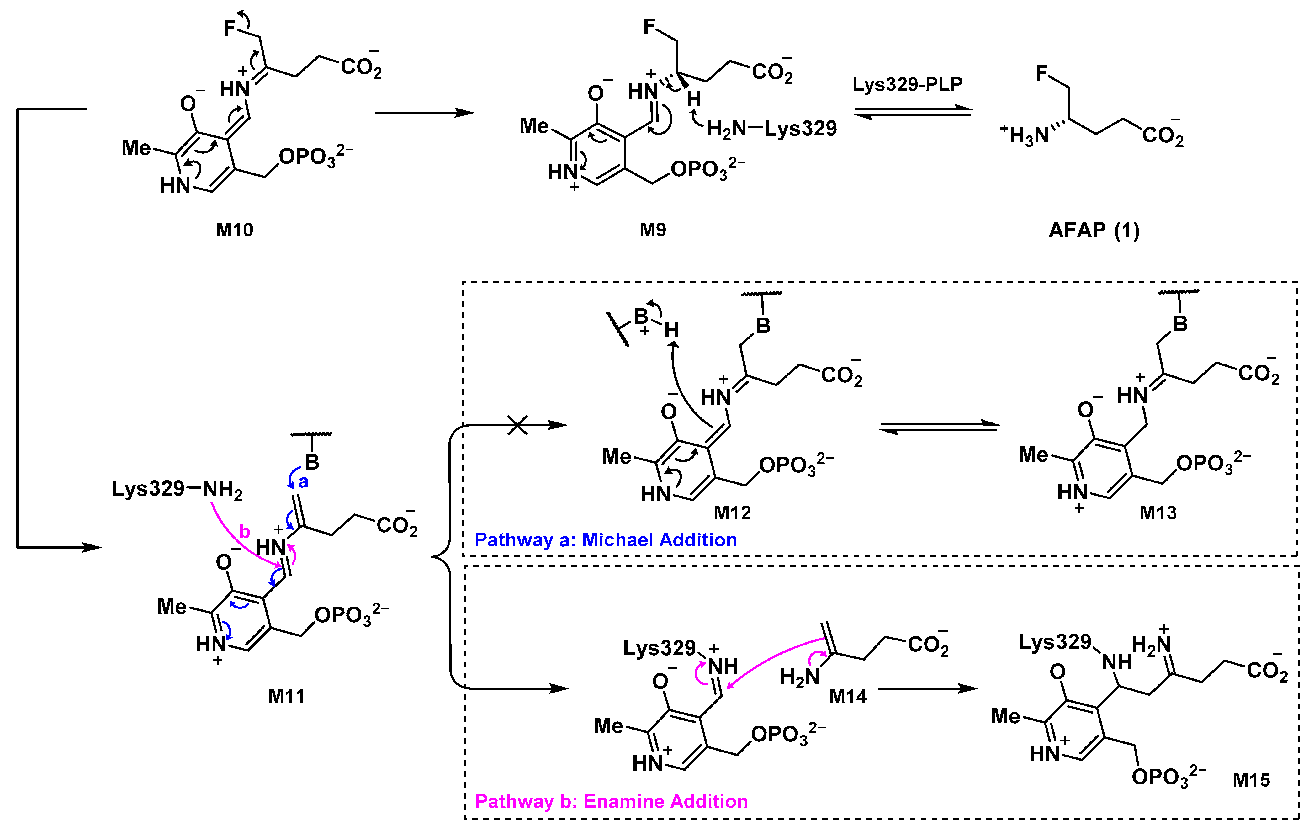 Molecules 28 01133 sch002
