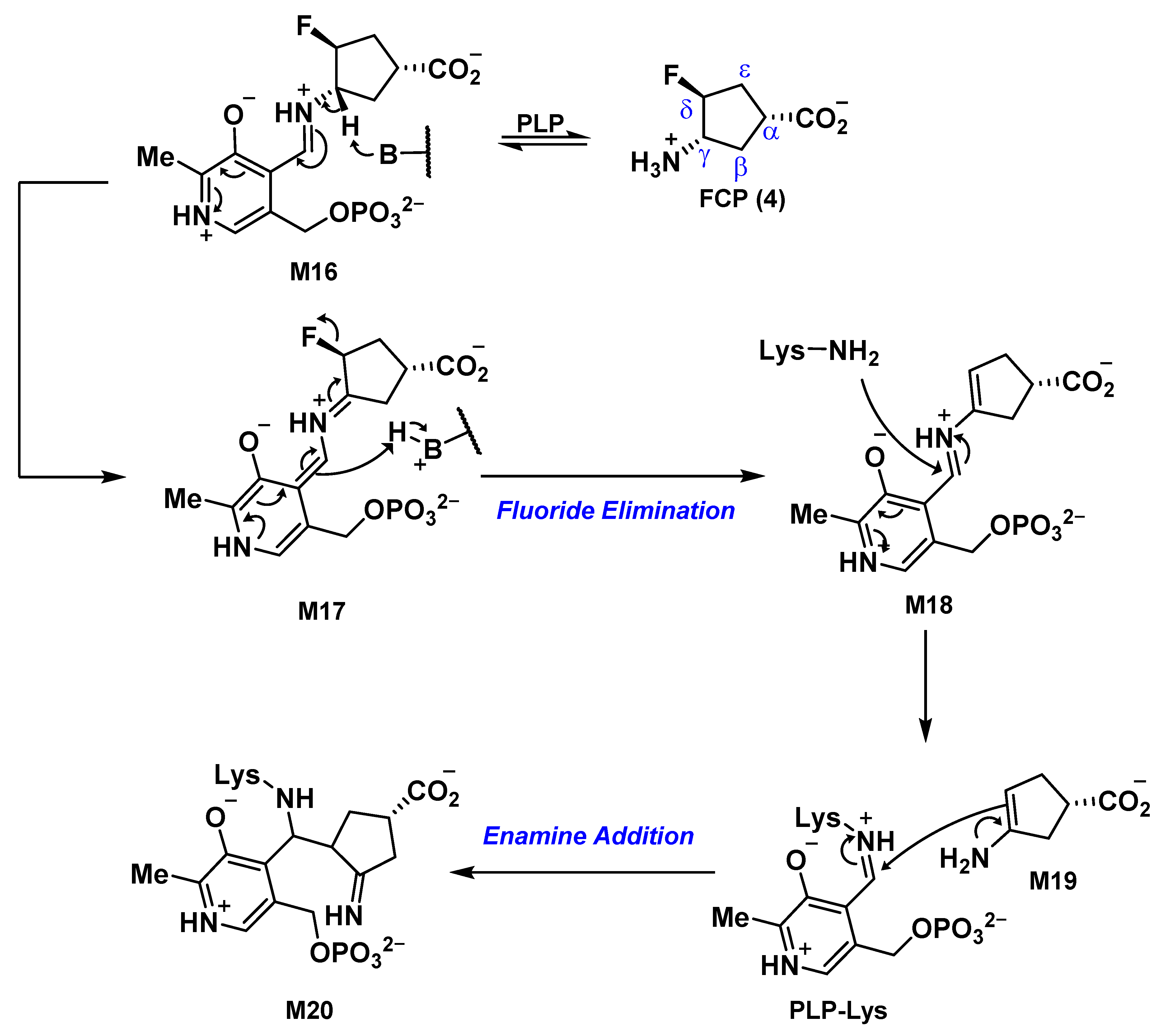 Molecules 28 01133 sch003
