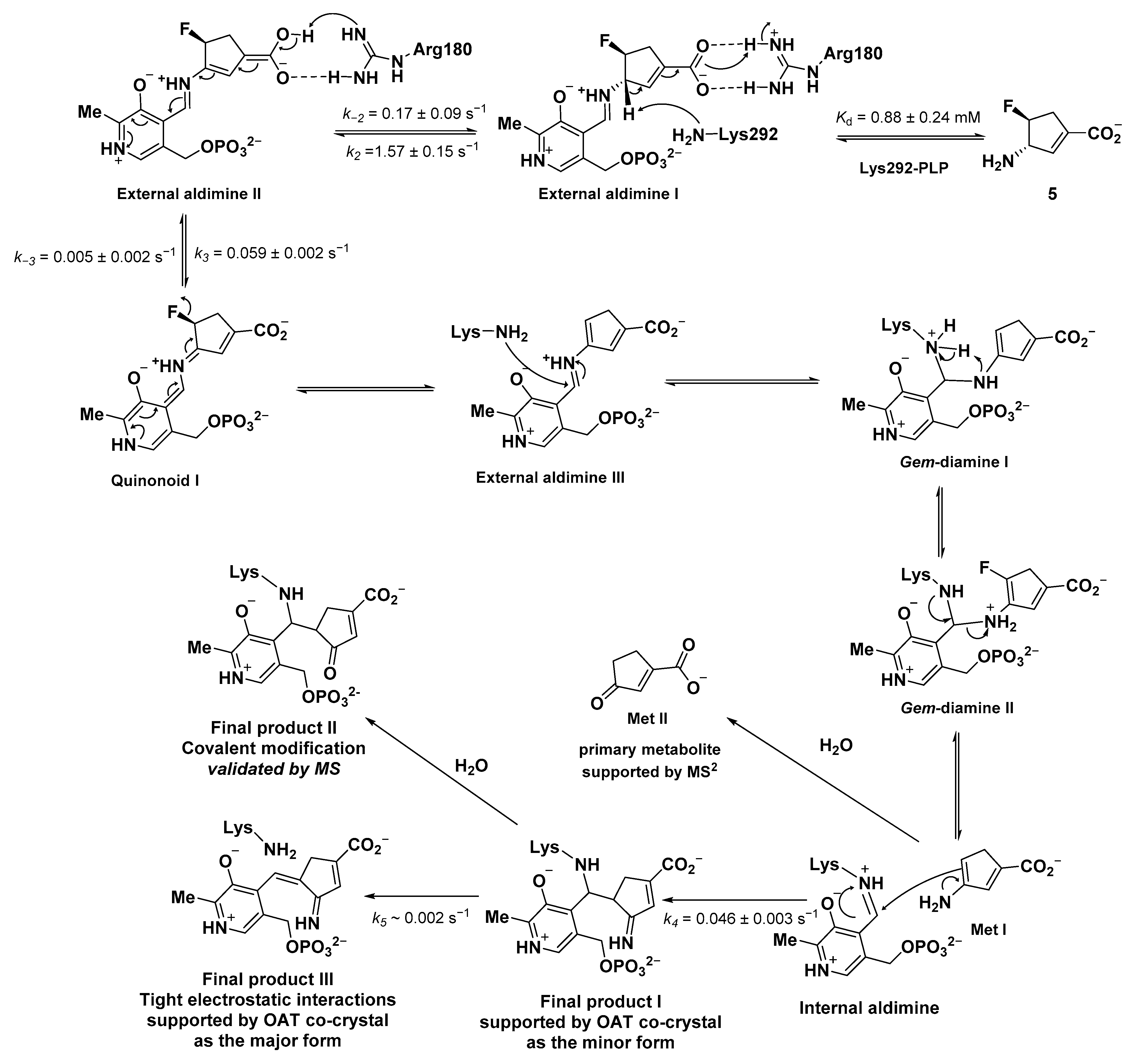 Molecules 28 01133 sch007