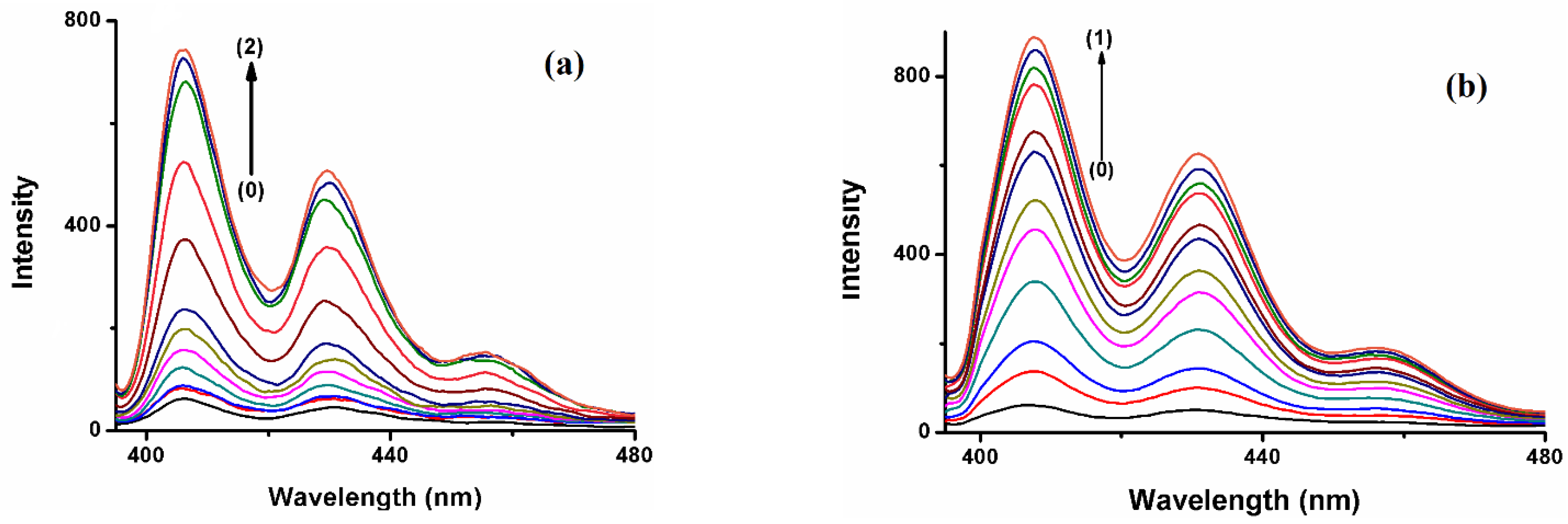 Molecules 28 01136 g003a Molecules 28 01136 g003a