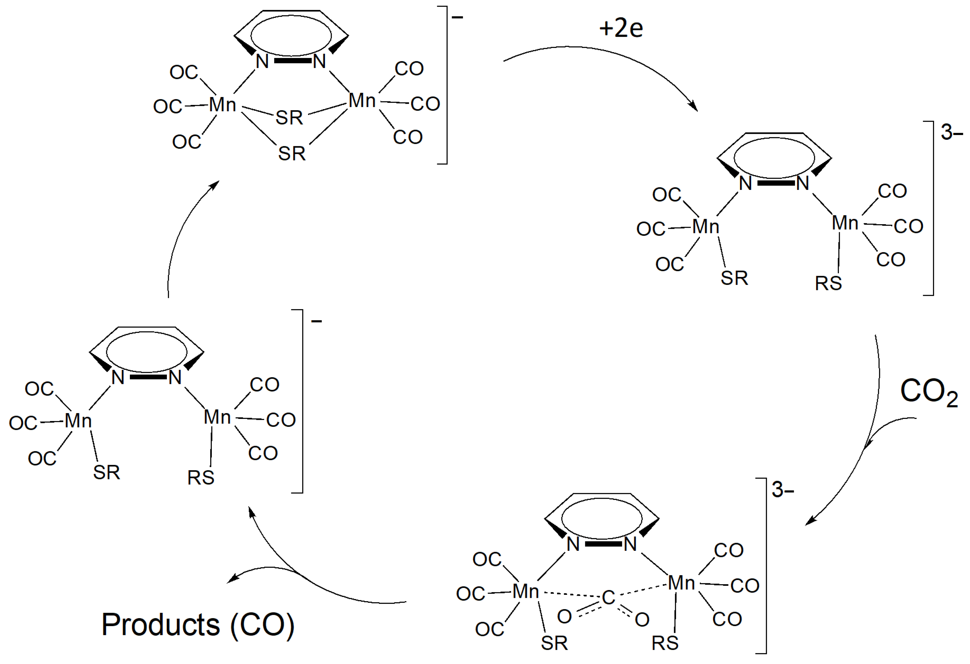 Molecules 28 01138 sch003