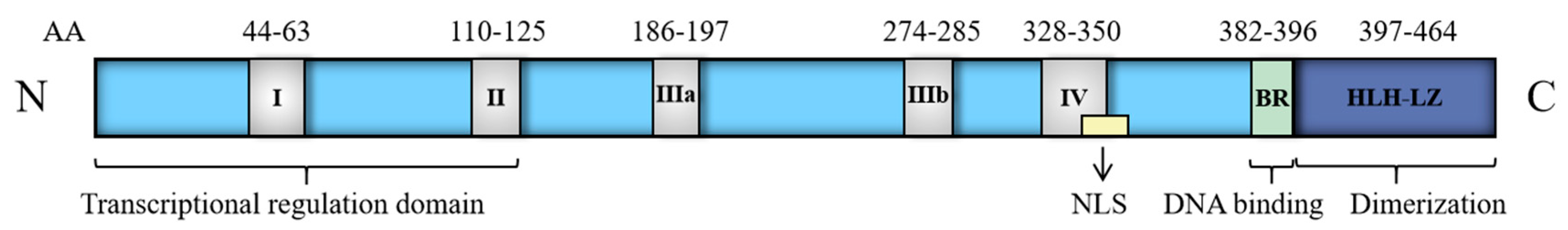 Molecules 28 01141 g001 Molecules 28 01141 g001