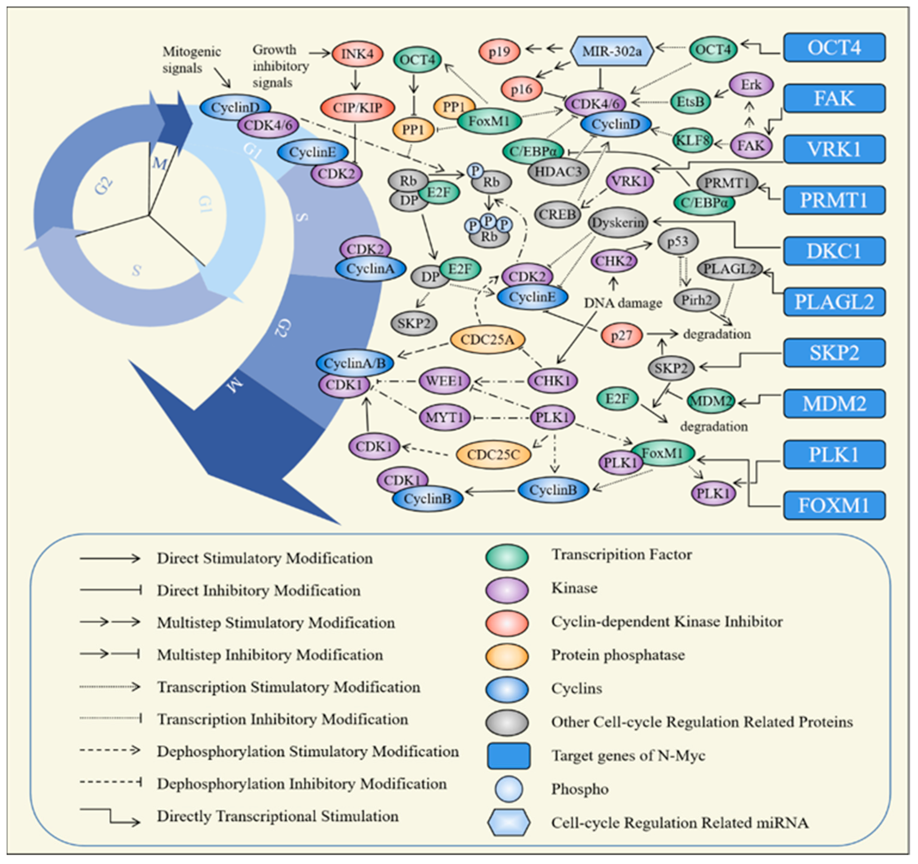 Molecules 28 01141 g002 Molecules 28 01141 g002