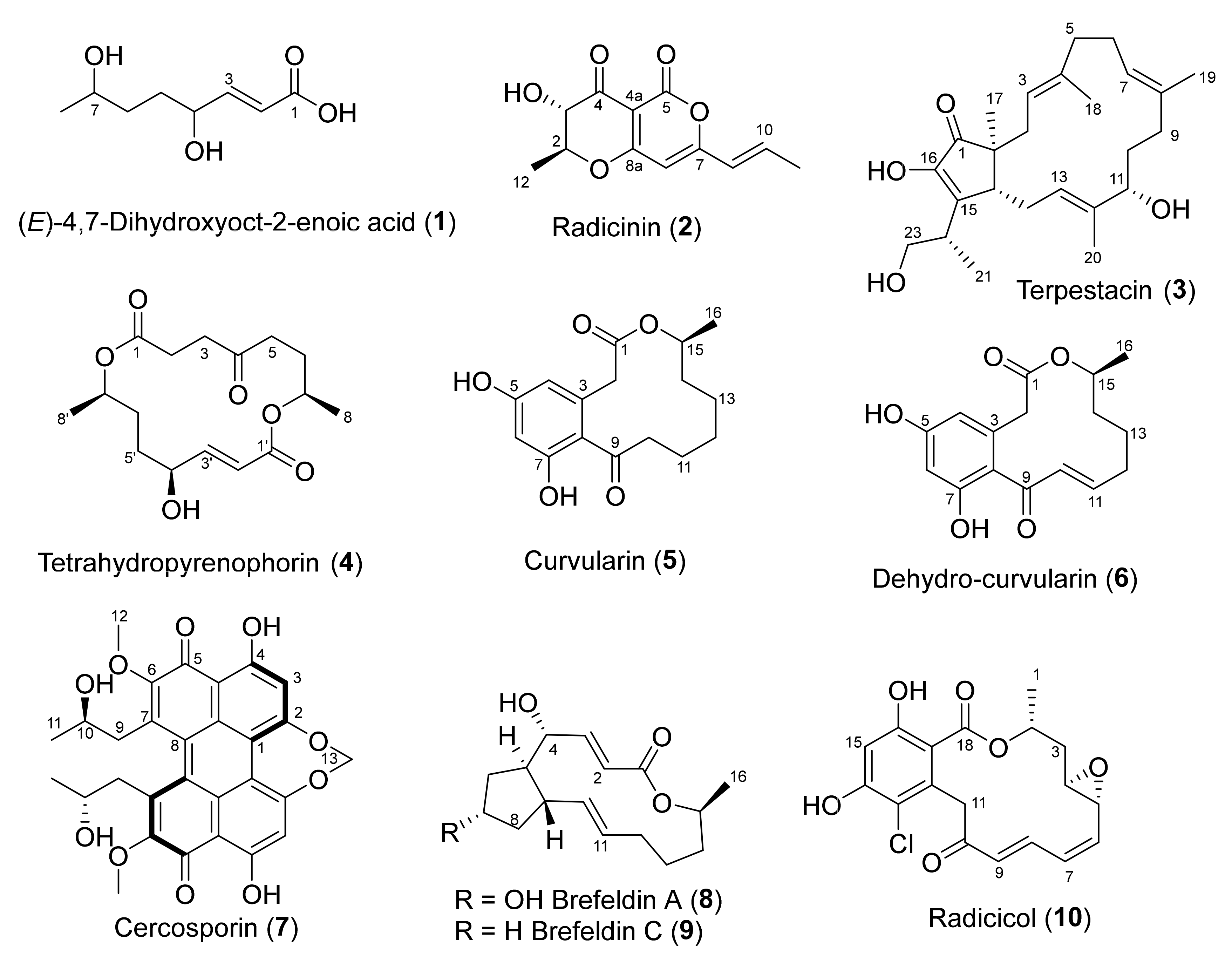 Molecules 28 01142 g002