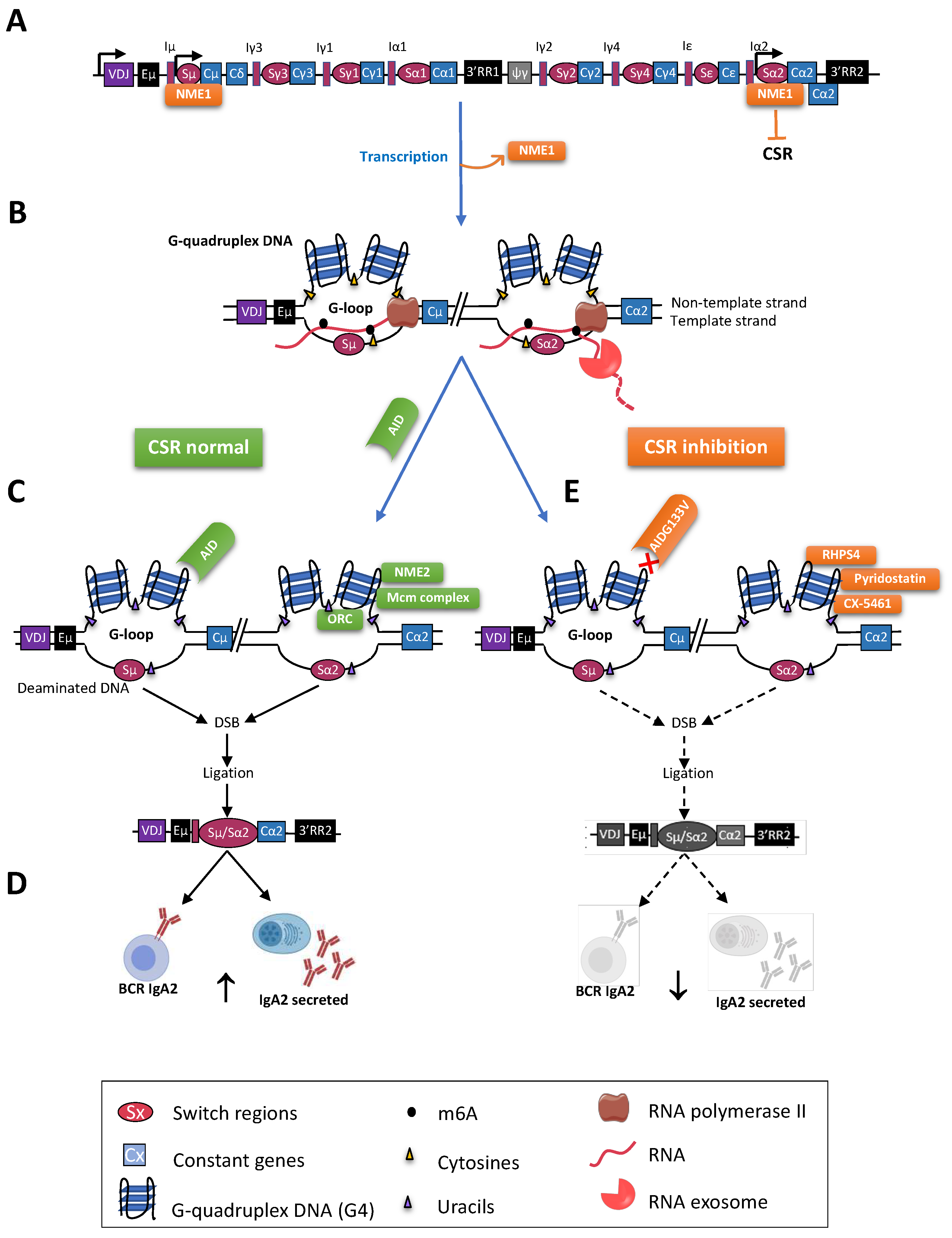 Molecules 28 01159 g003 Molecules 28 01159 g003