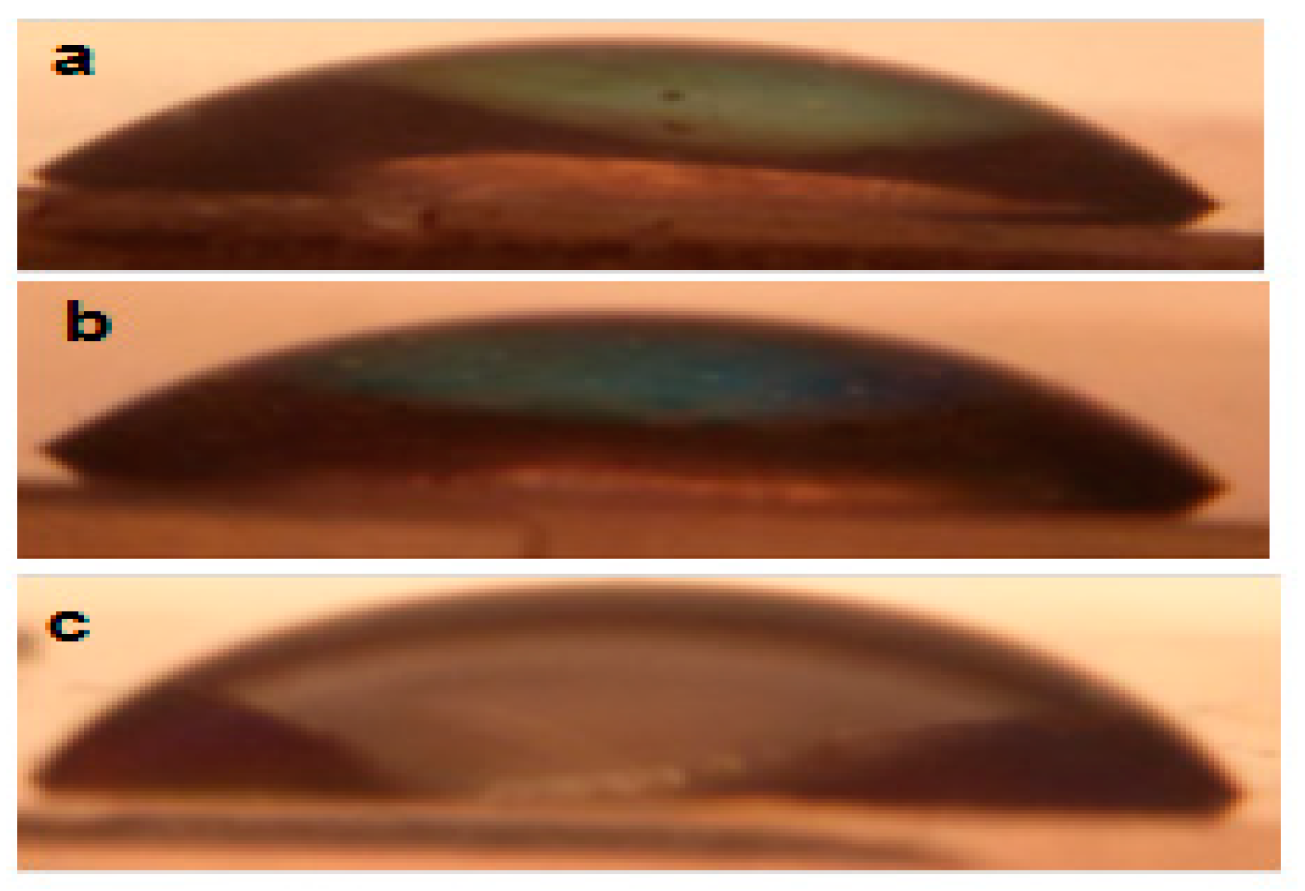 Molecules 28 01160 g004 Molecules 28 01160 g004