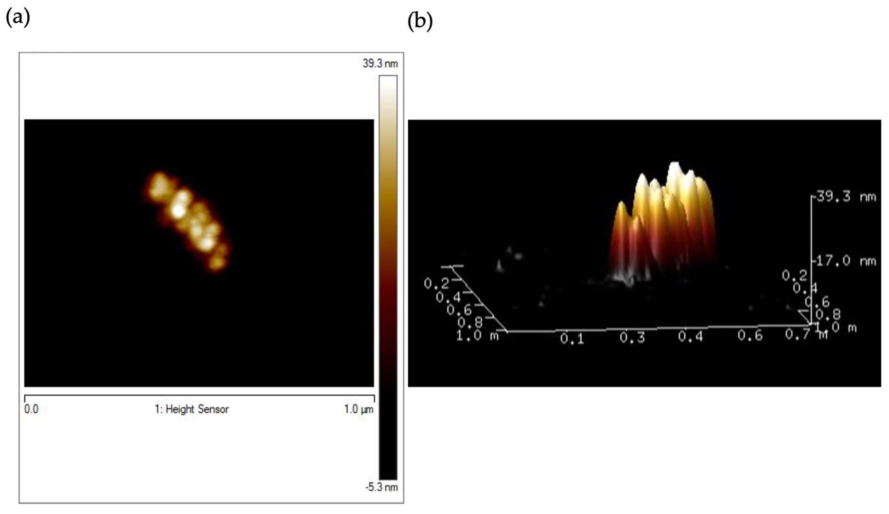 Molecules 28 01163 g005 Molecules 28 01163 g005