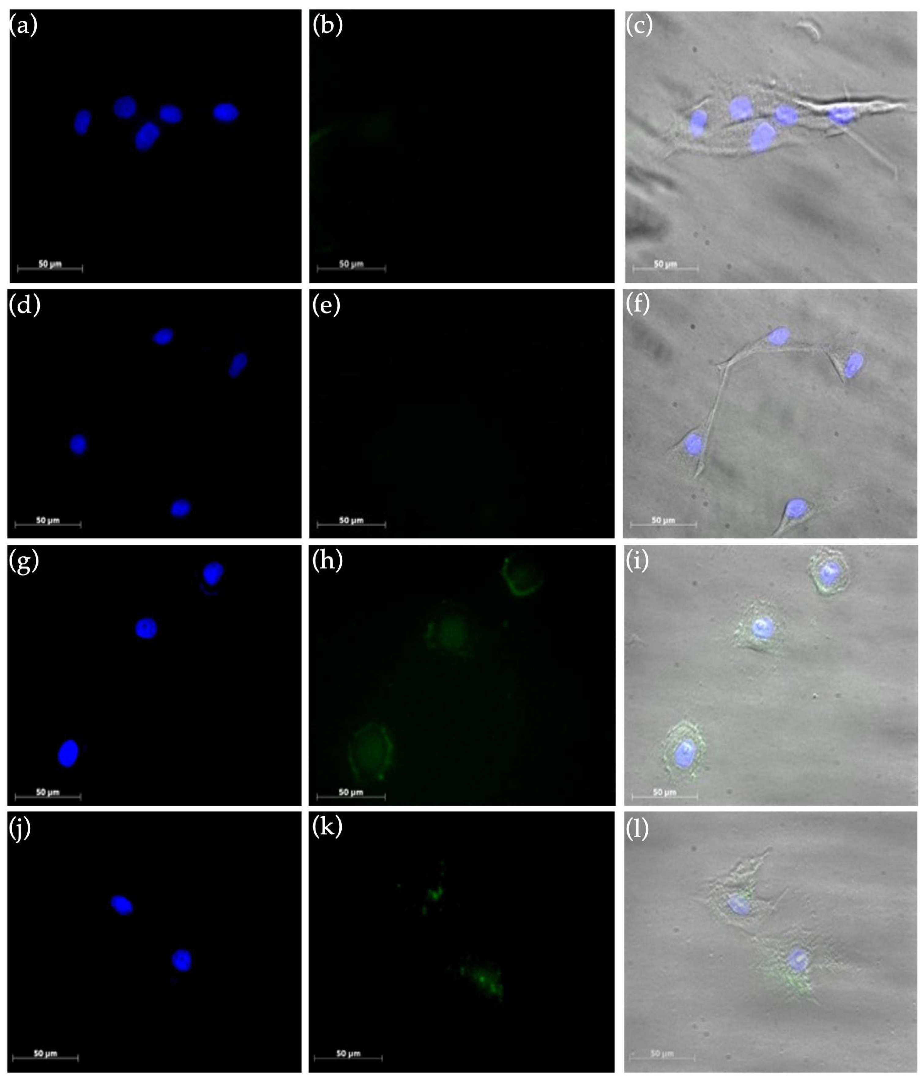 Molecules 28 01163 g008 Molecules 28 01163 g008