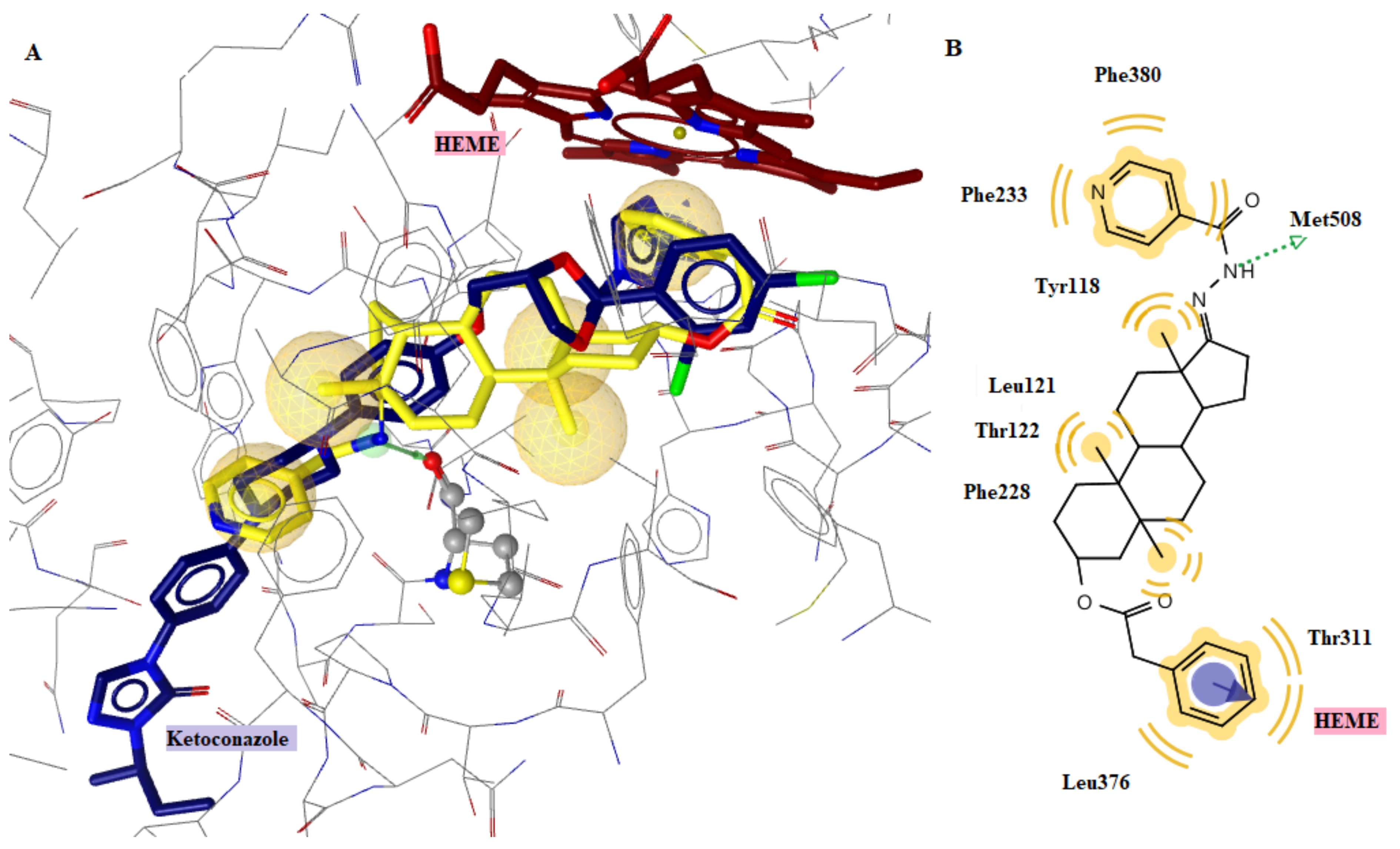 Molecules 28 01167 g006