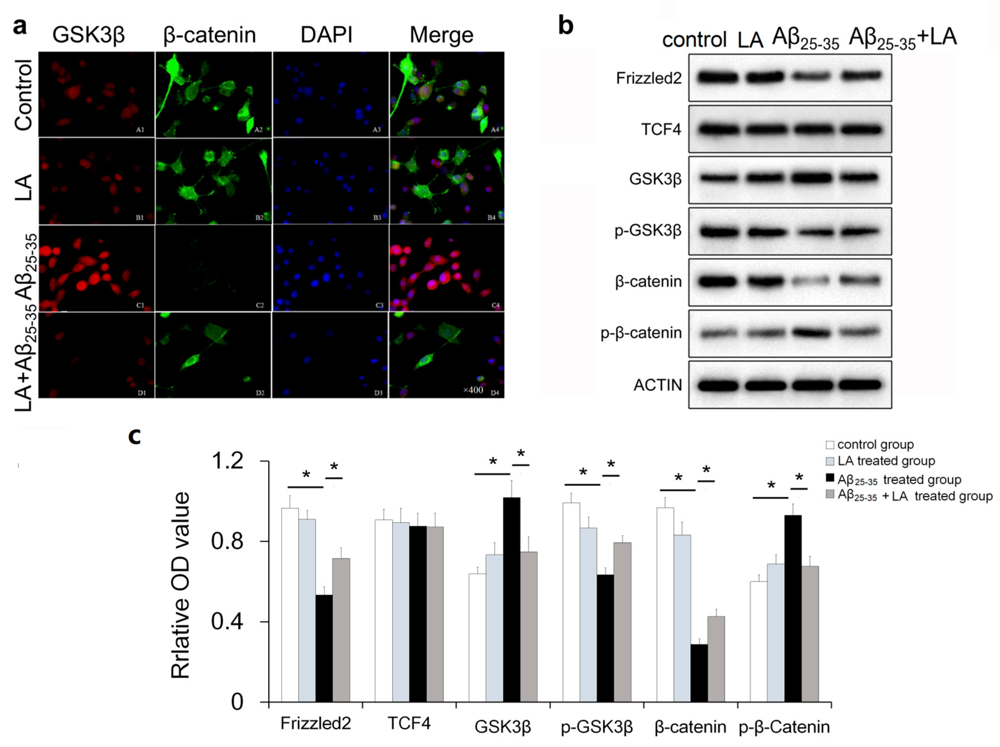 Molecules 28 01168 g007