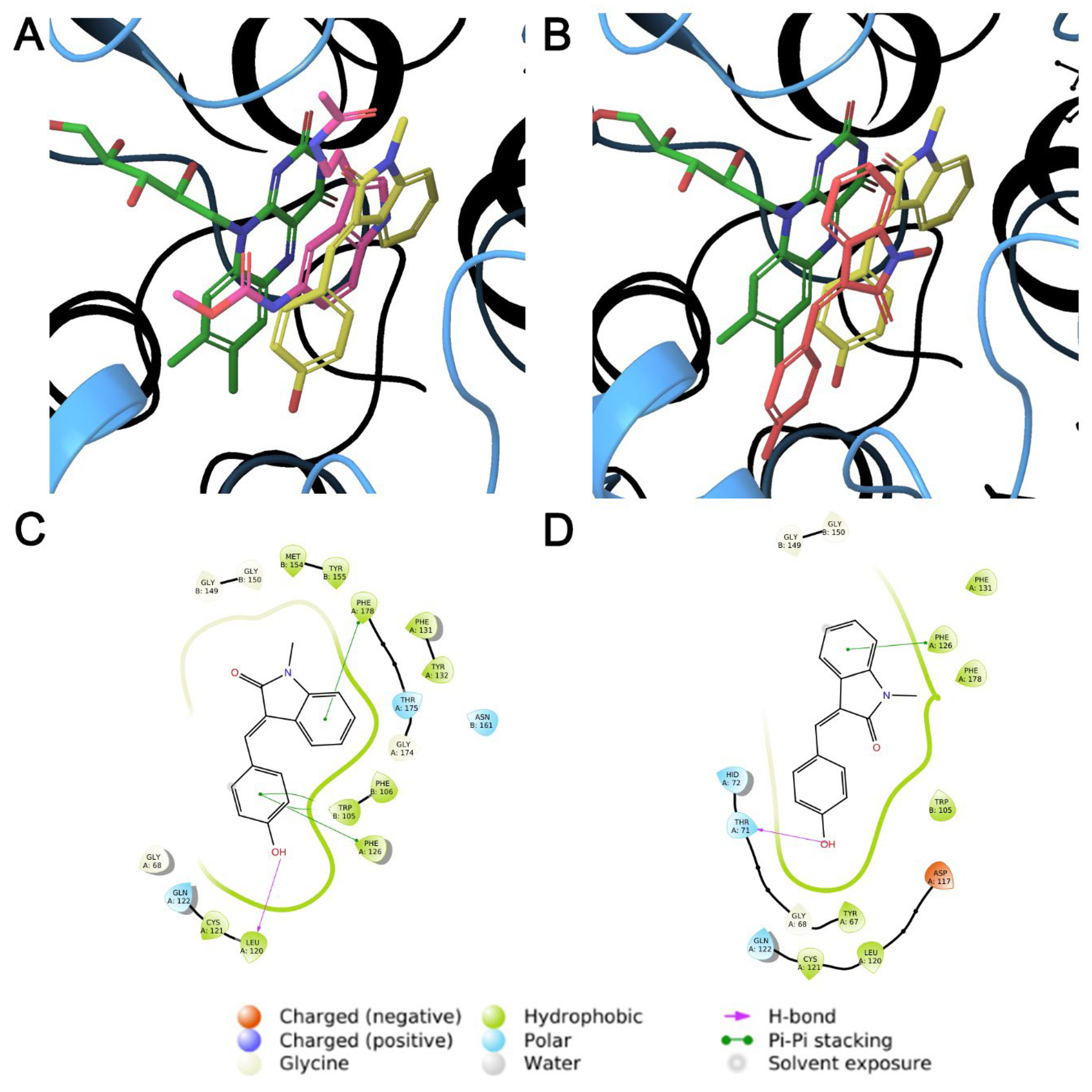 Molecules 28 01174 g005